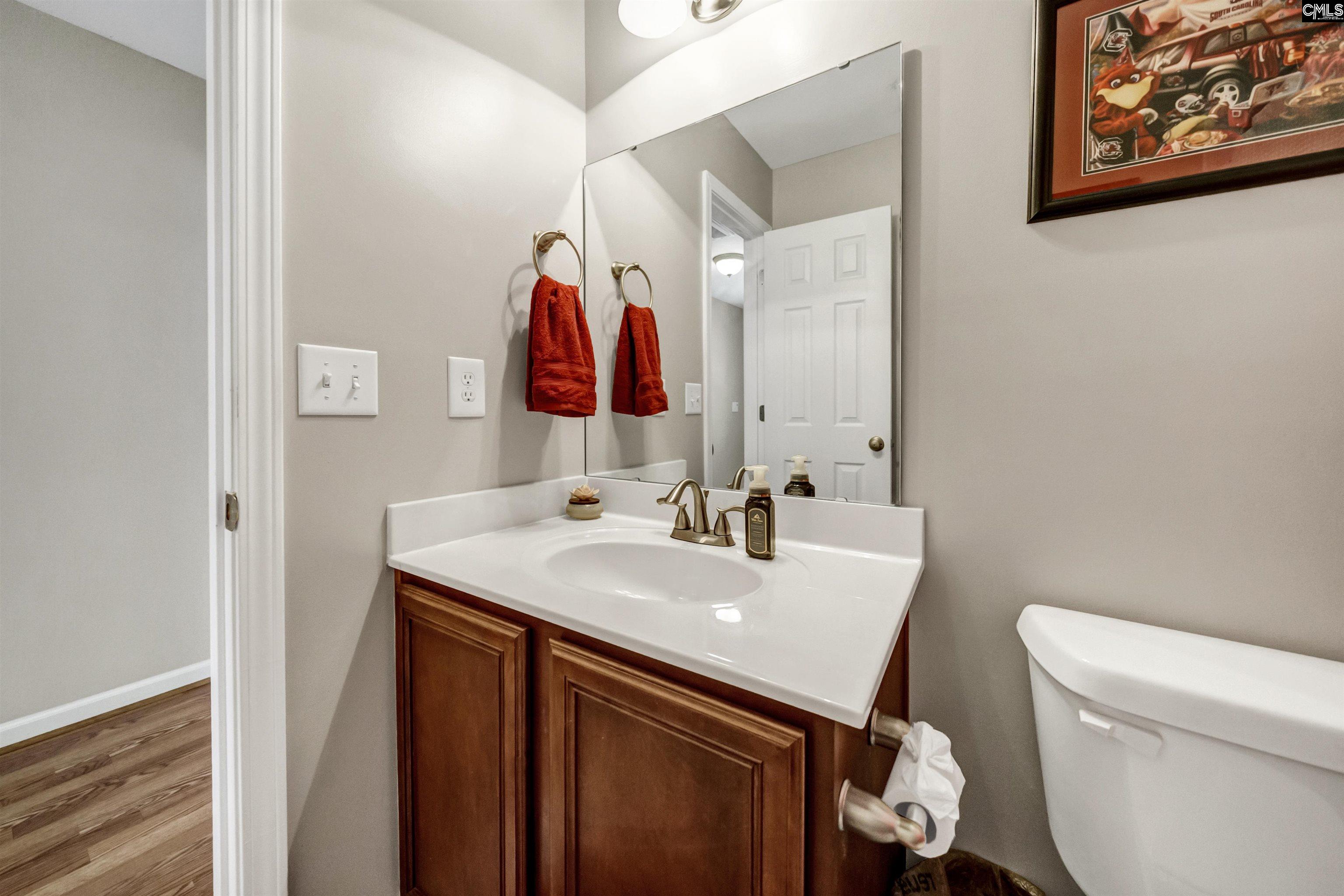 145 Waterstone Drive, Lexington, South Carolina image 14