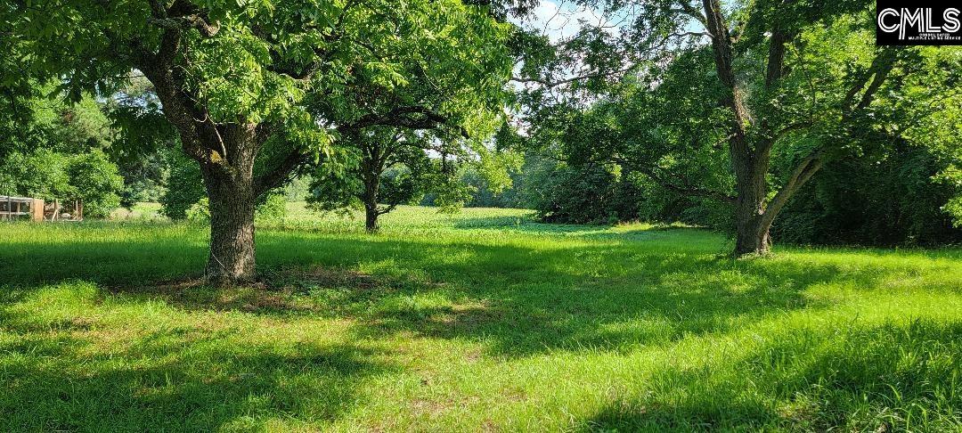 Broad St Leesville, SC 29070