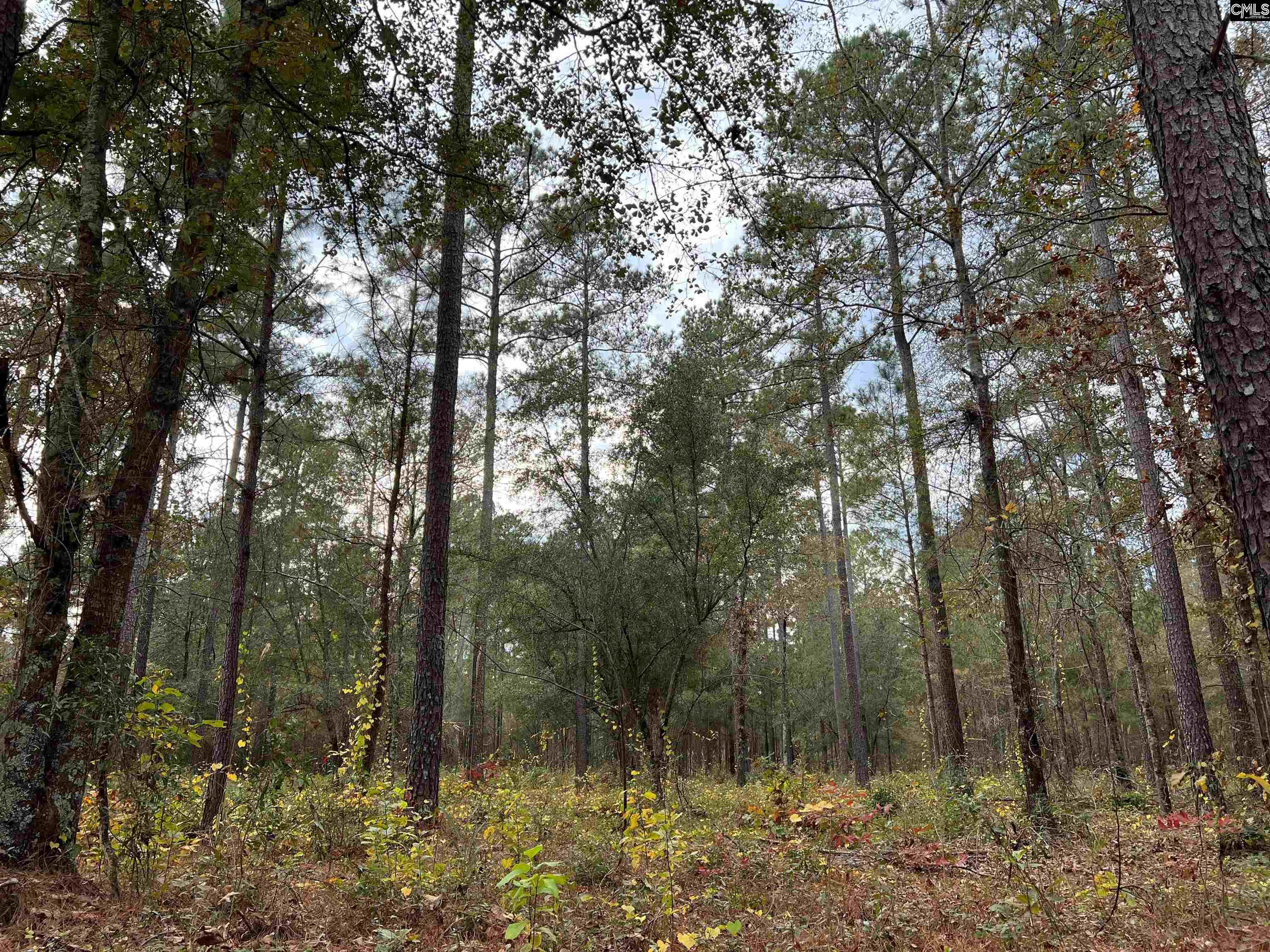 EBH A2 Wagener Rd #EBH A2, Wagener, South Carolina image 1