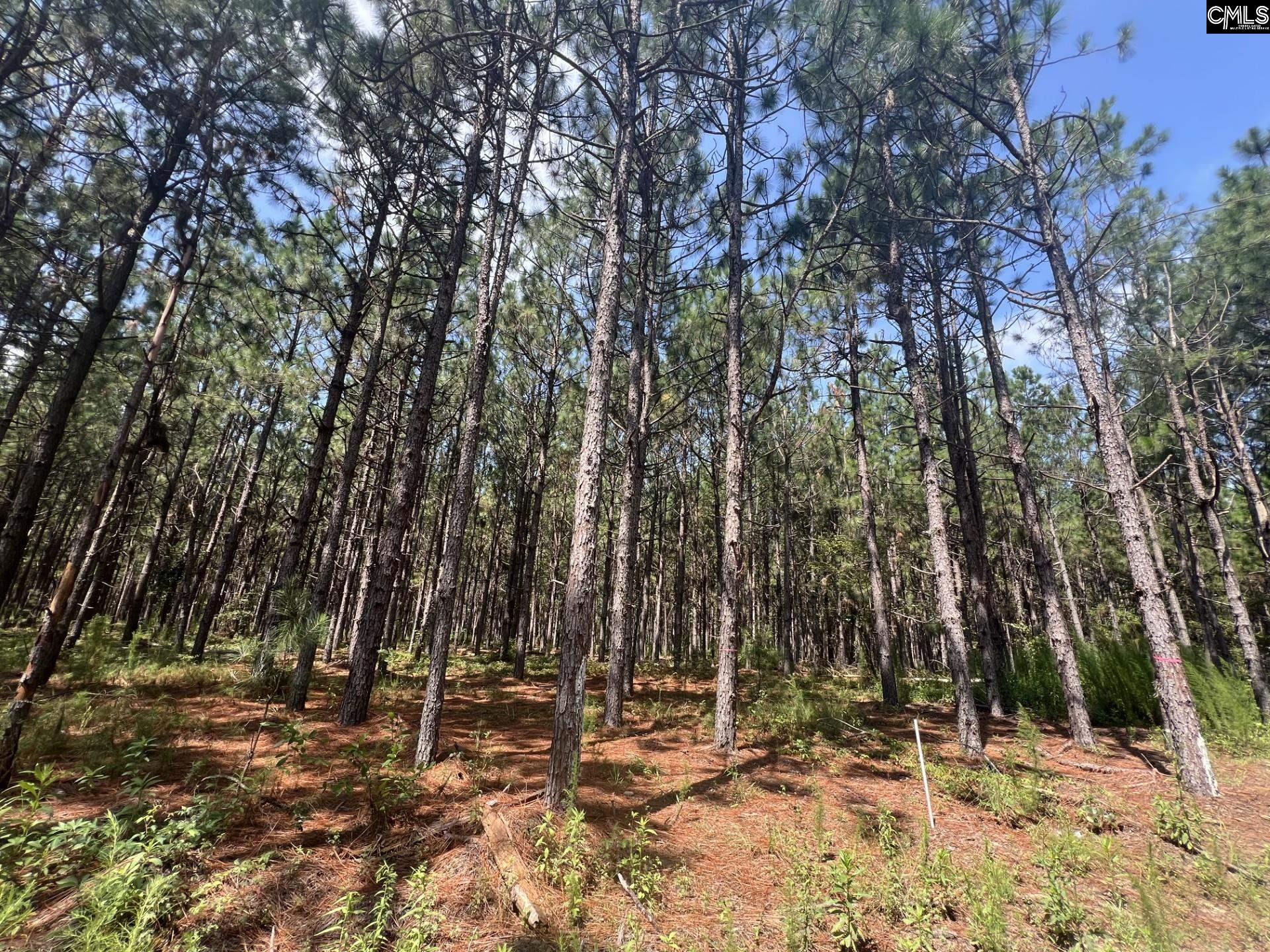 EBH A2 Wagener Rd #EBH A2, Wagener, South Carolina image 3
