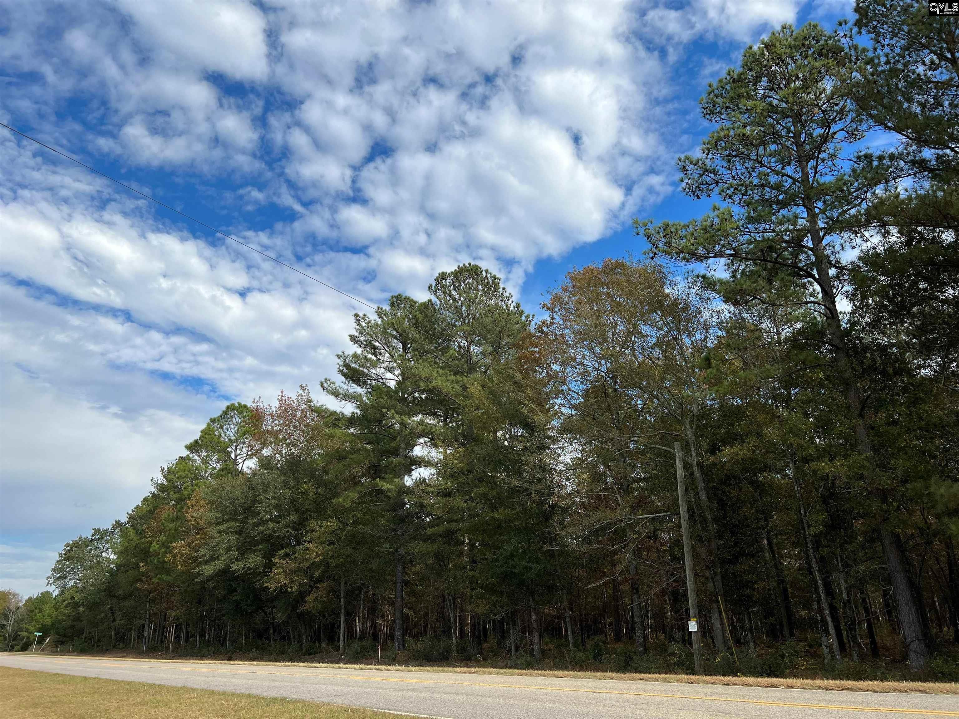 EBH A2 Wagener Rd #EBH A2, Wagener, South Carolina image 5