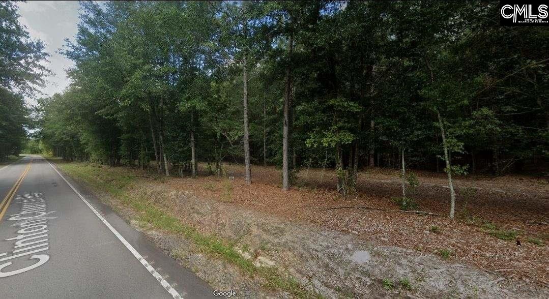 Clinton Church Road Lot 20, Salley, South Carolina image 5