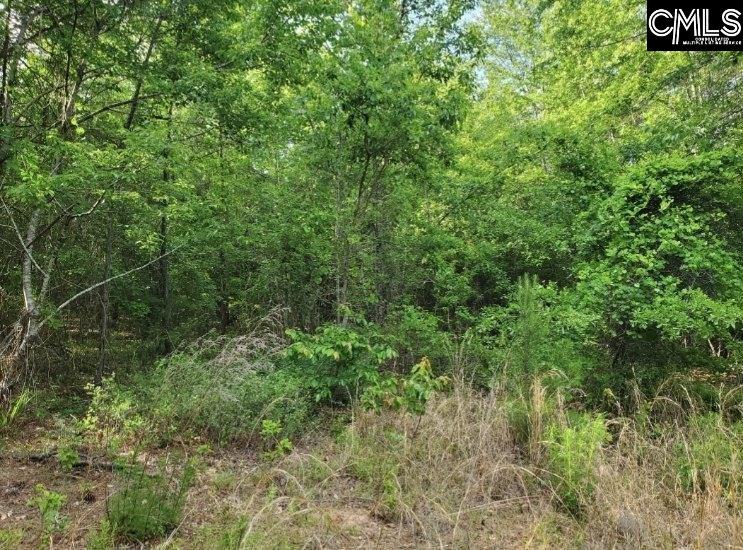 Clinton Church Road Lot 20, Salley, South Carolina image 6