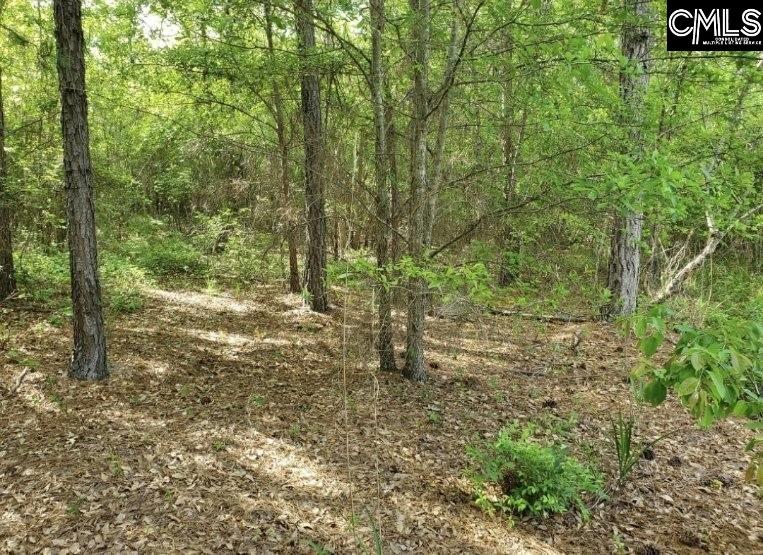 Clinton Church Road Lot 20, Salley, South Carolina image 7