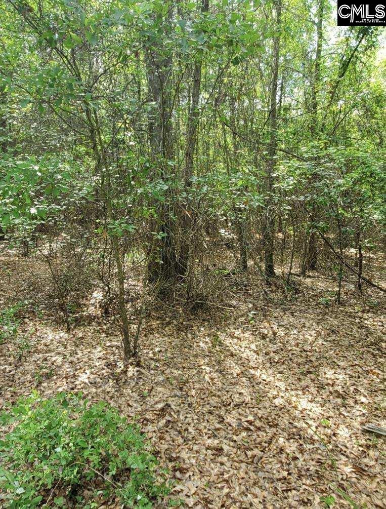 Clinton Church Road Lot 20, Salley, South Carolina image 8