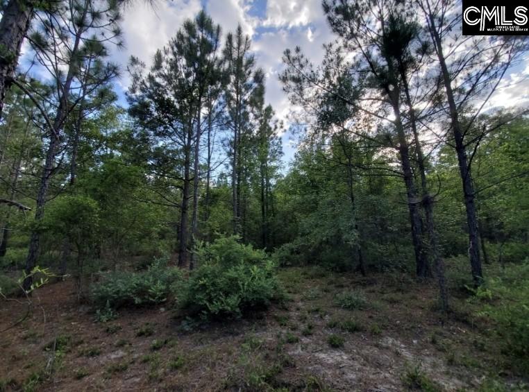 Clinton Church Road Lot 20, Salley, South Carolina image 9