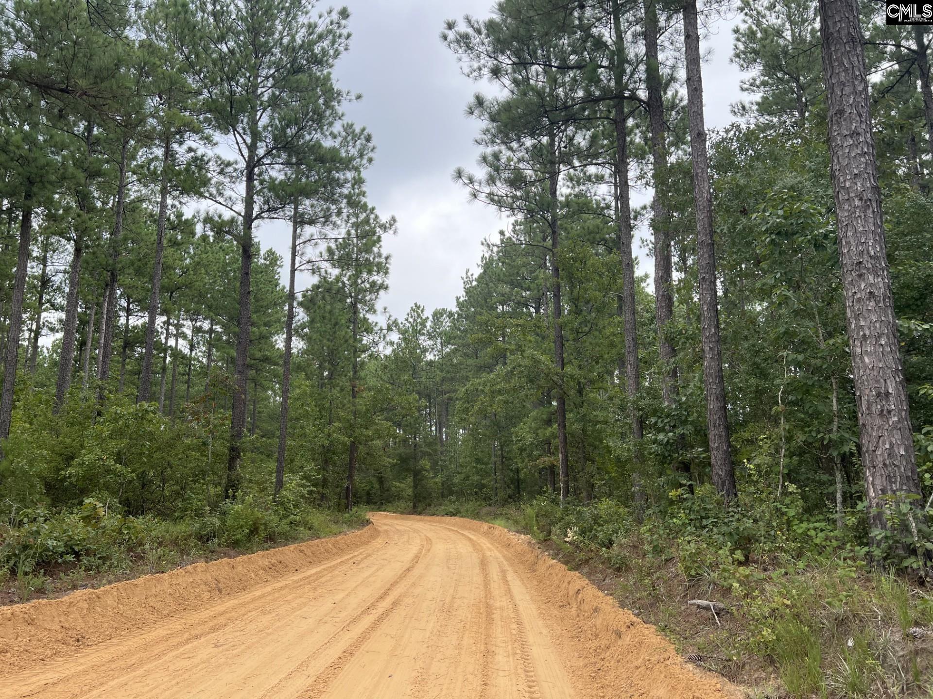1 Fox Young Rd Unit #1 Wagener, SC 29164