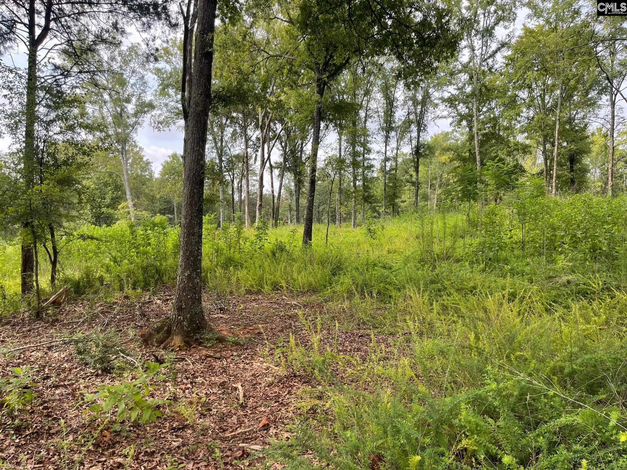 Seagull Lane Unit Lot 30 Prosperity, SC 29127