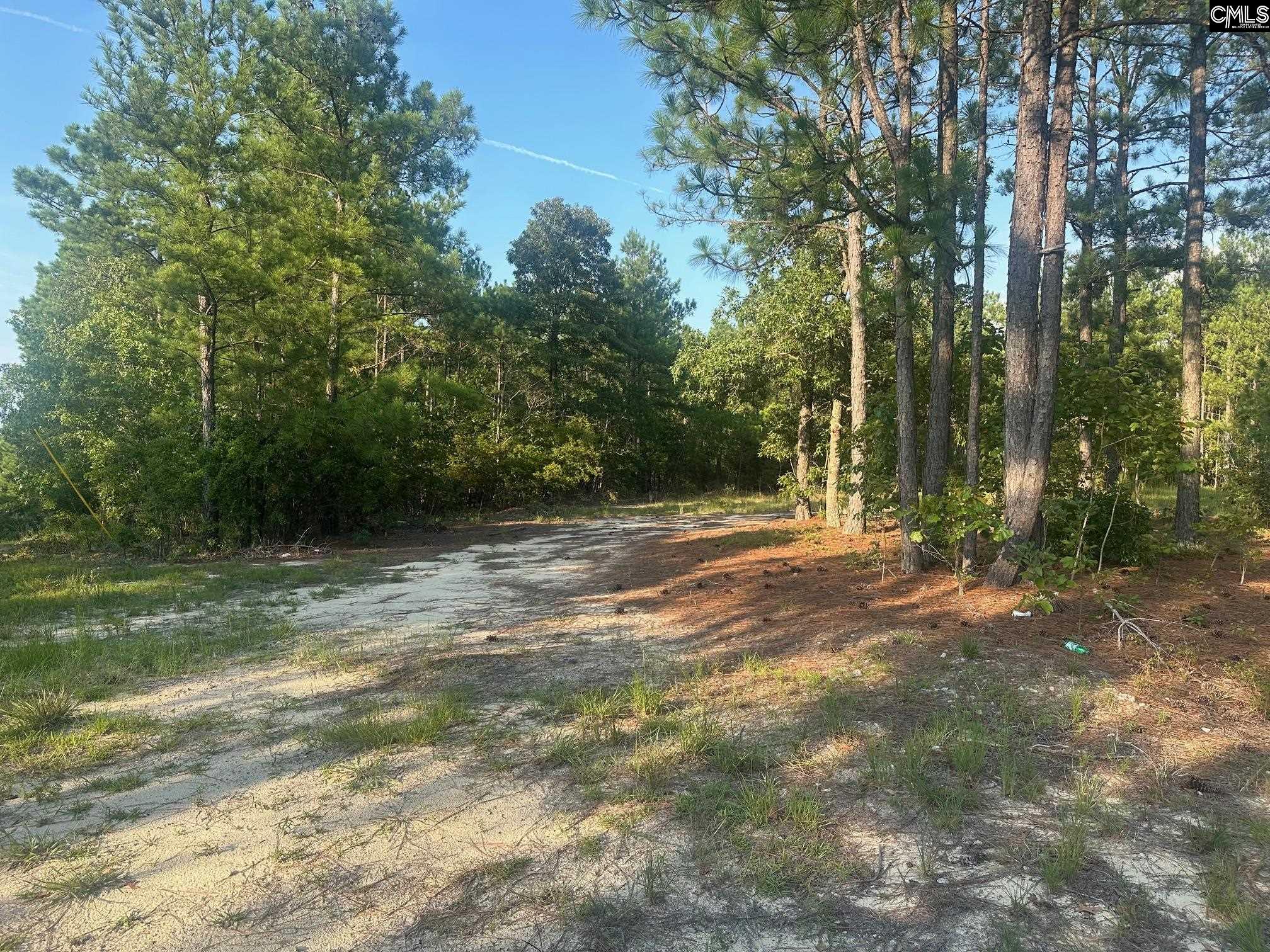 2356 Beaver Dam Road, Cassatt, South Carolina image 1