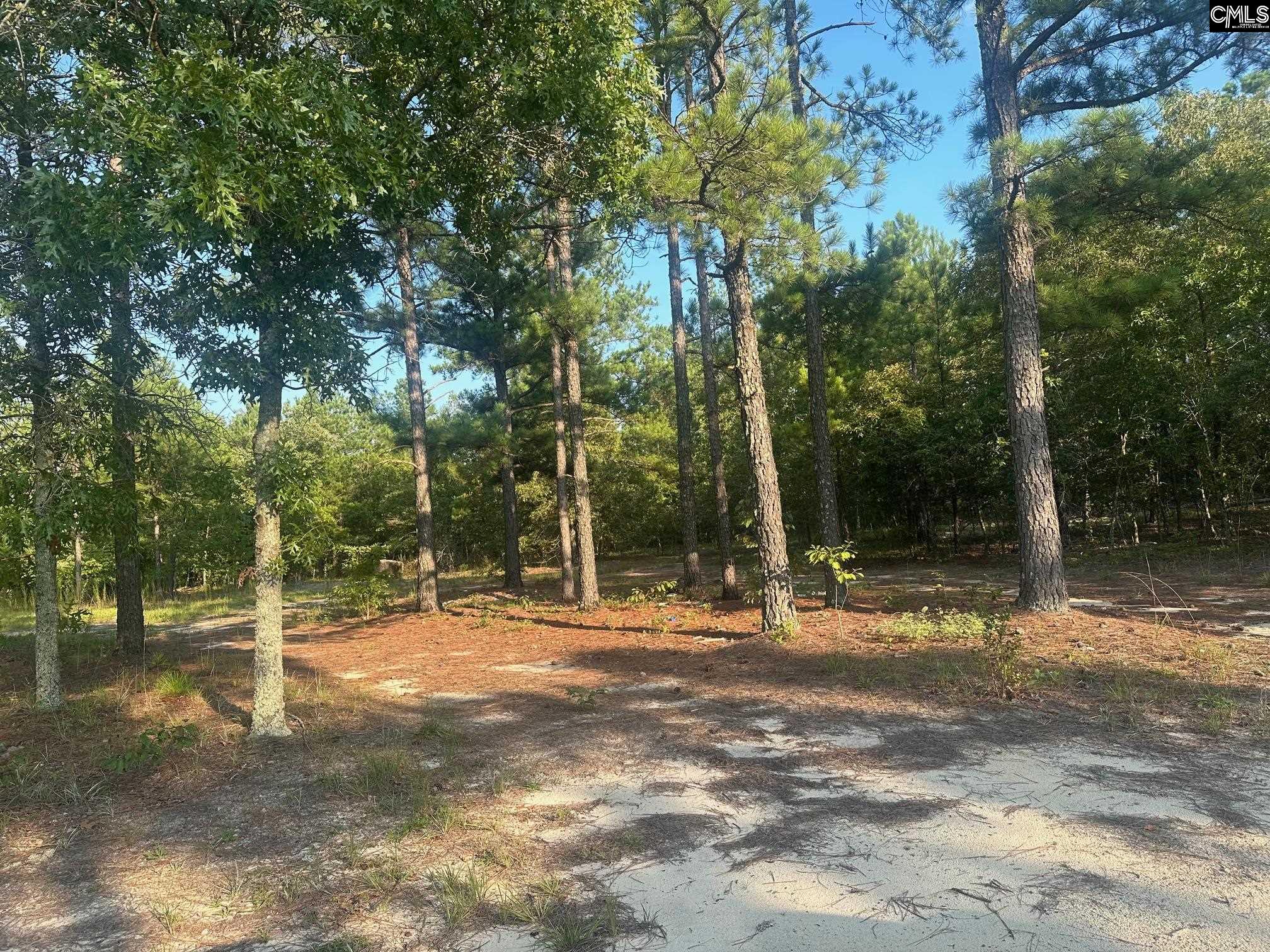 2356 Beaver Dam Road, Cassatt, South Carolina image 2