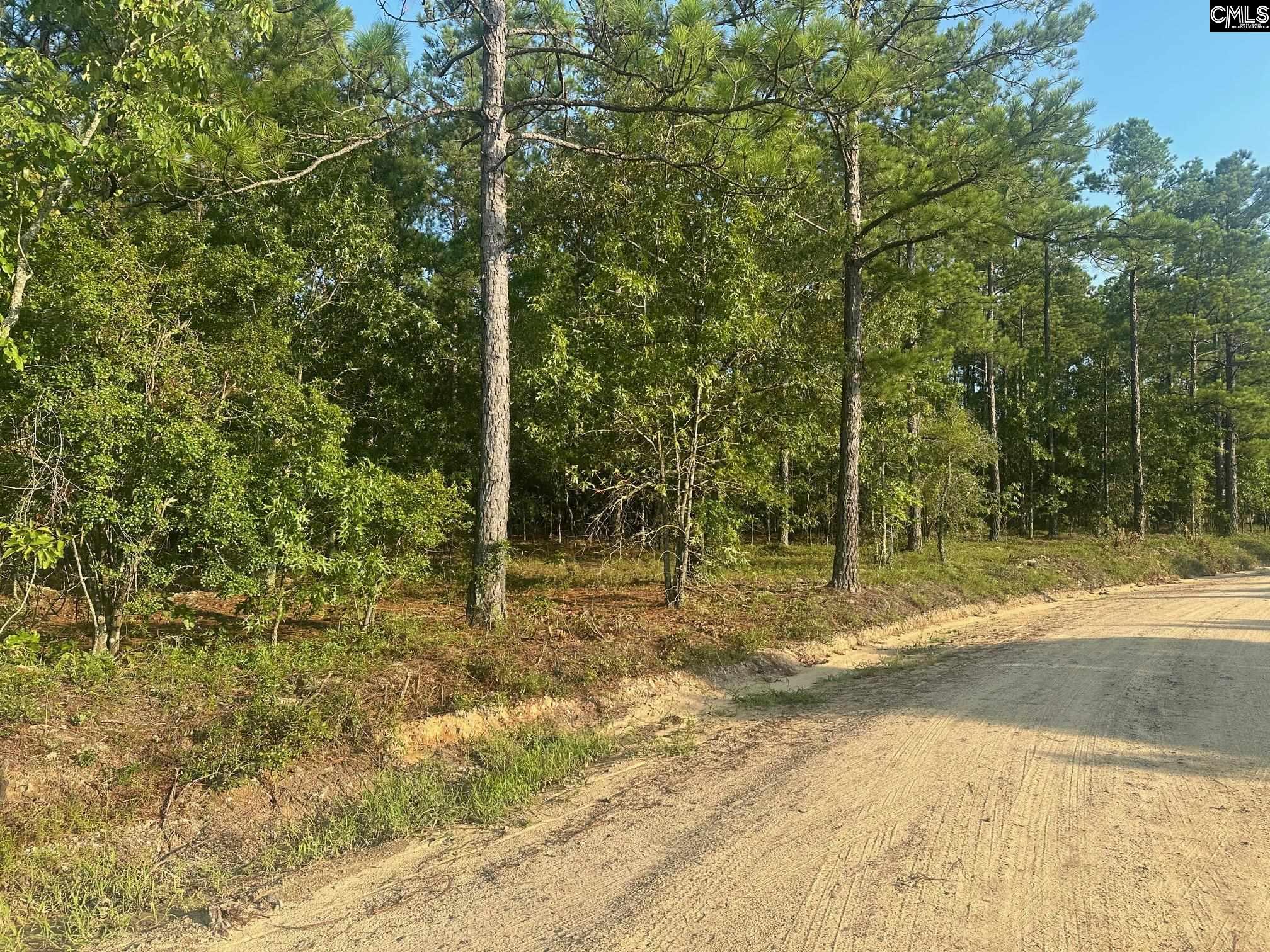 2356 Beaver Dam Road, Cassatt, South Carolina image 4