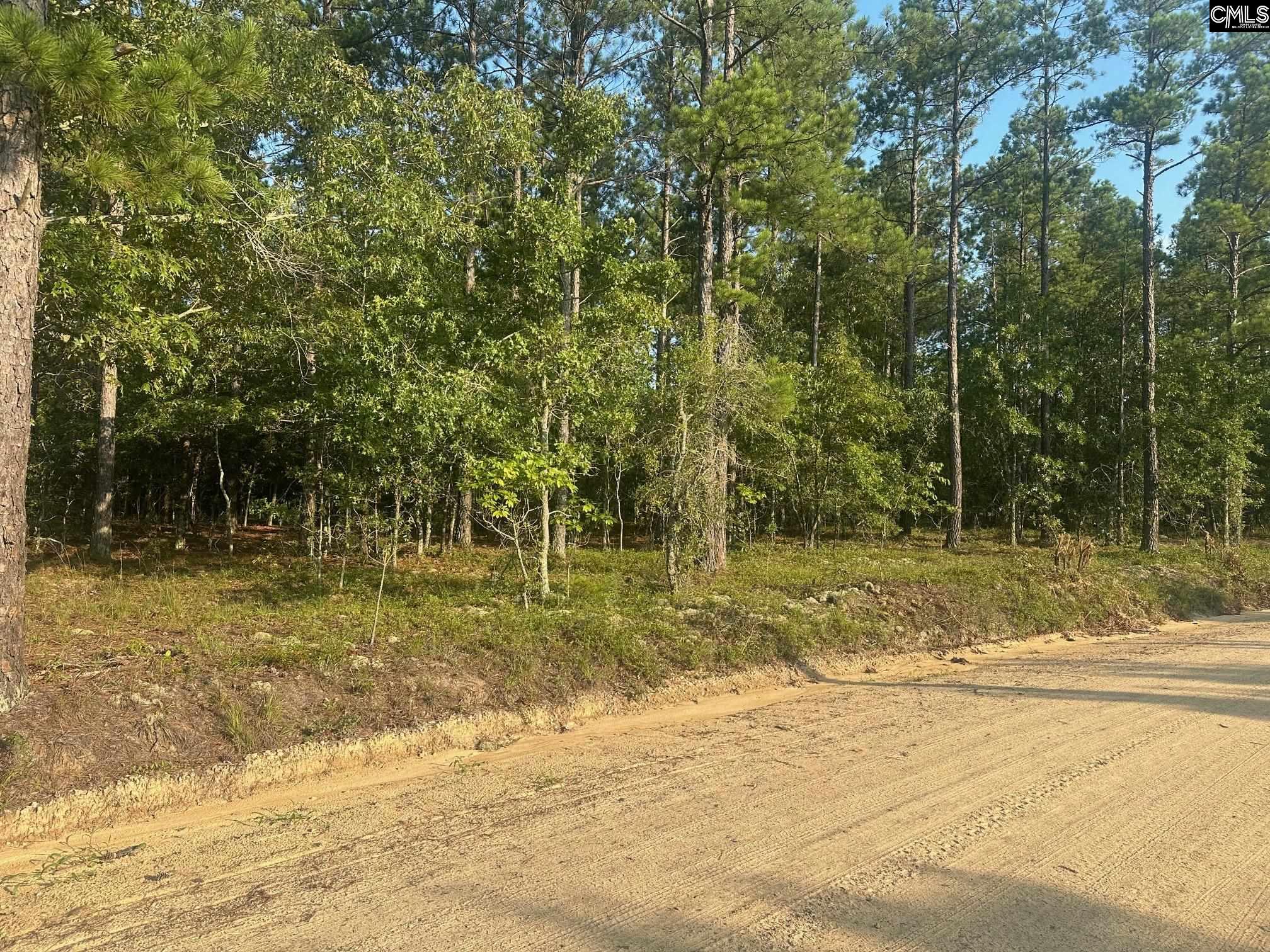 2356 Beaver Dam Road, Cassatt, South Carolina image 5