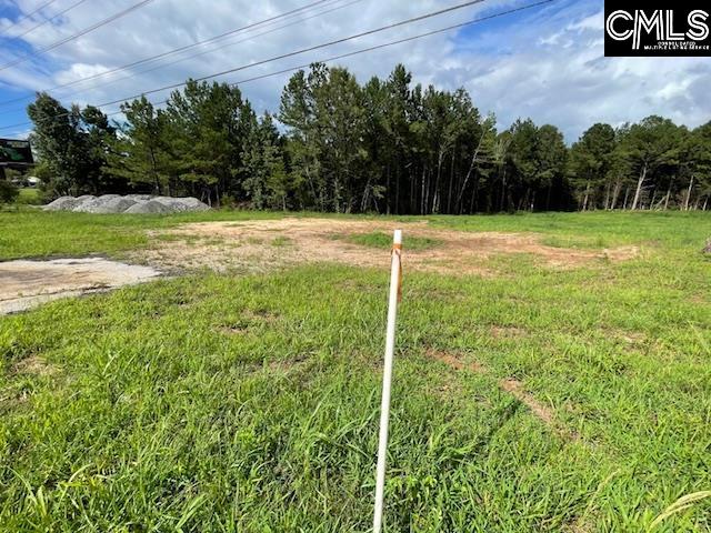 14527 Cr Koon Highway, Newberry, South Carolina image 2