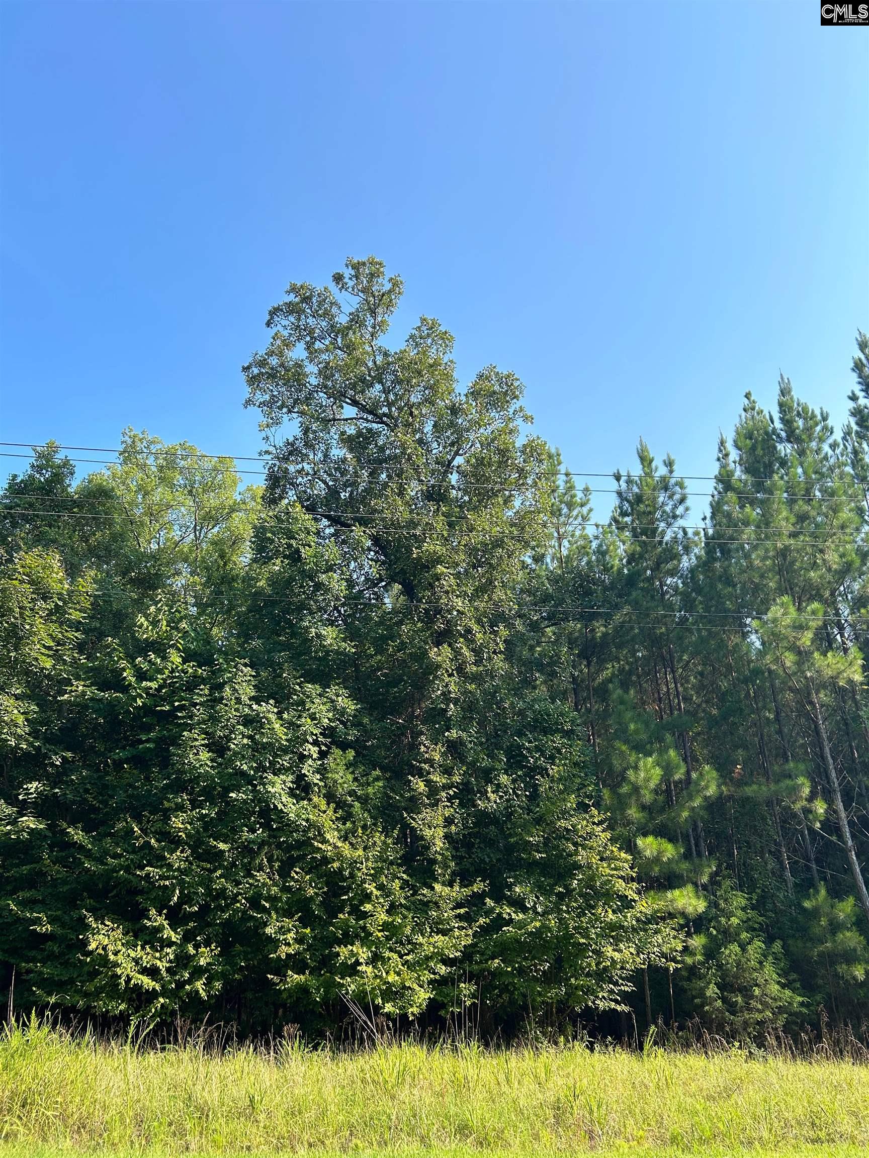 160 Chappell Road Blythewood, SC 29016