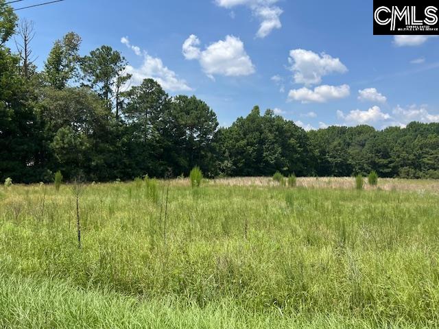 711 Longtown Columbia, SC 29229