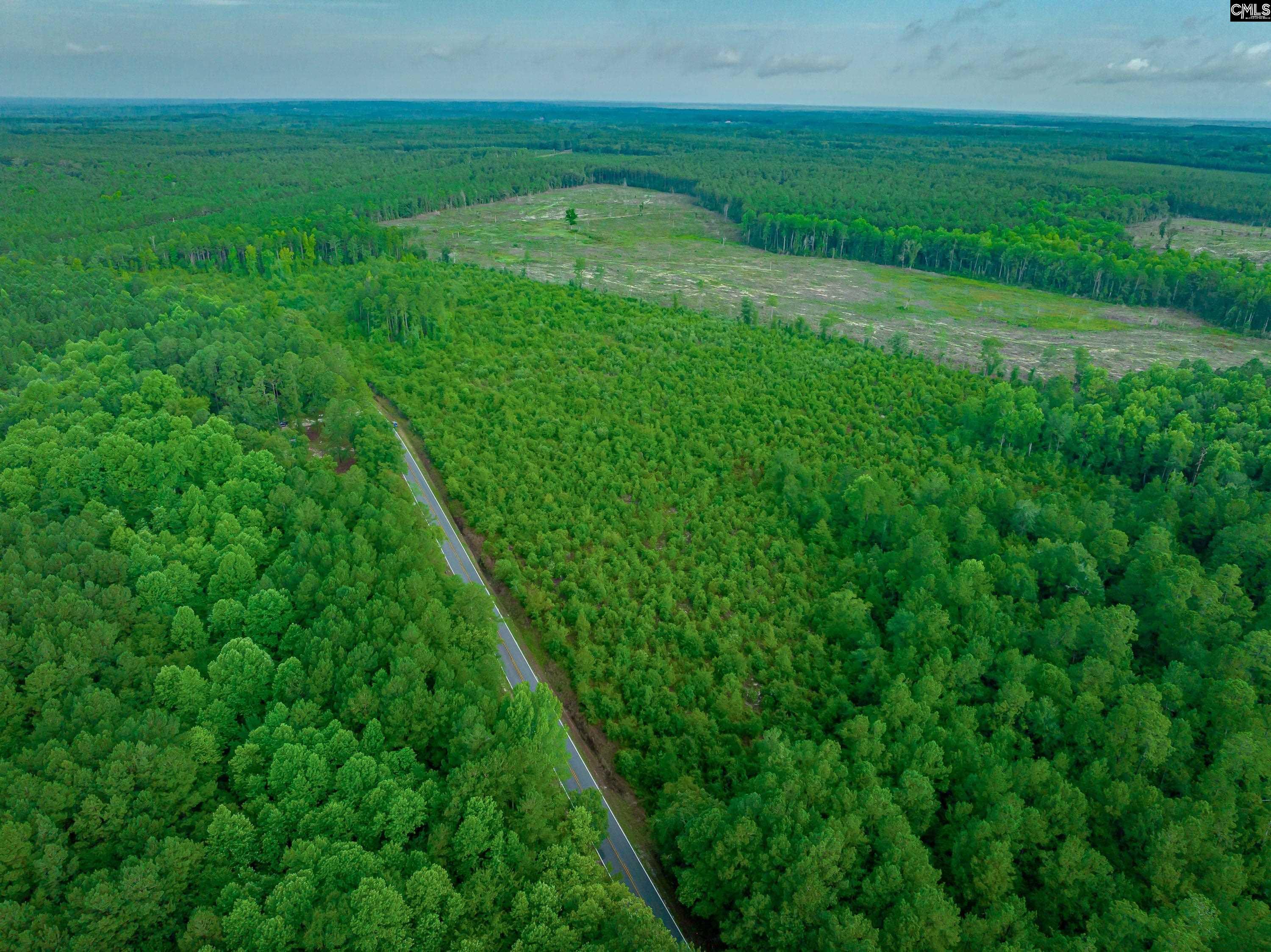 Grants Mill Road, Wallace, South Carolina image 1