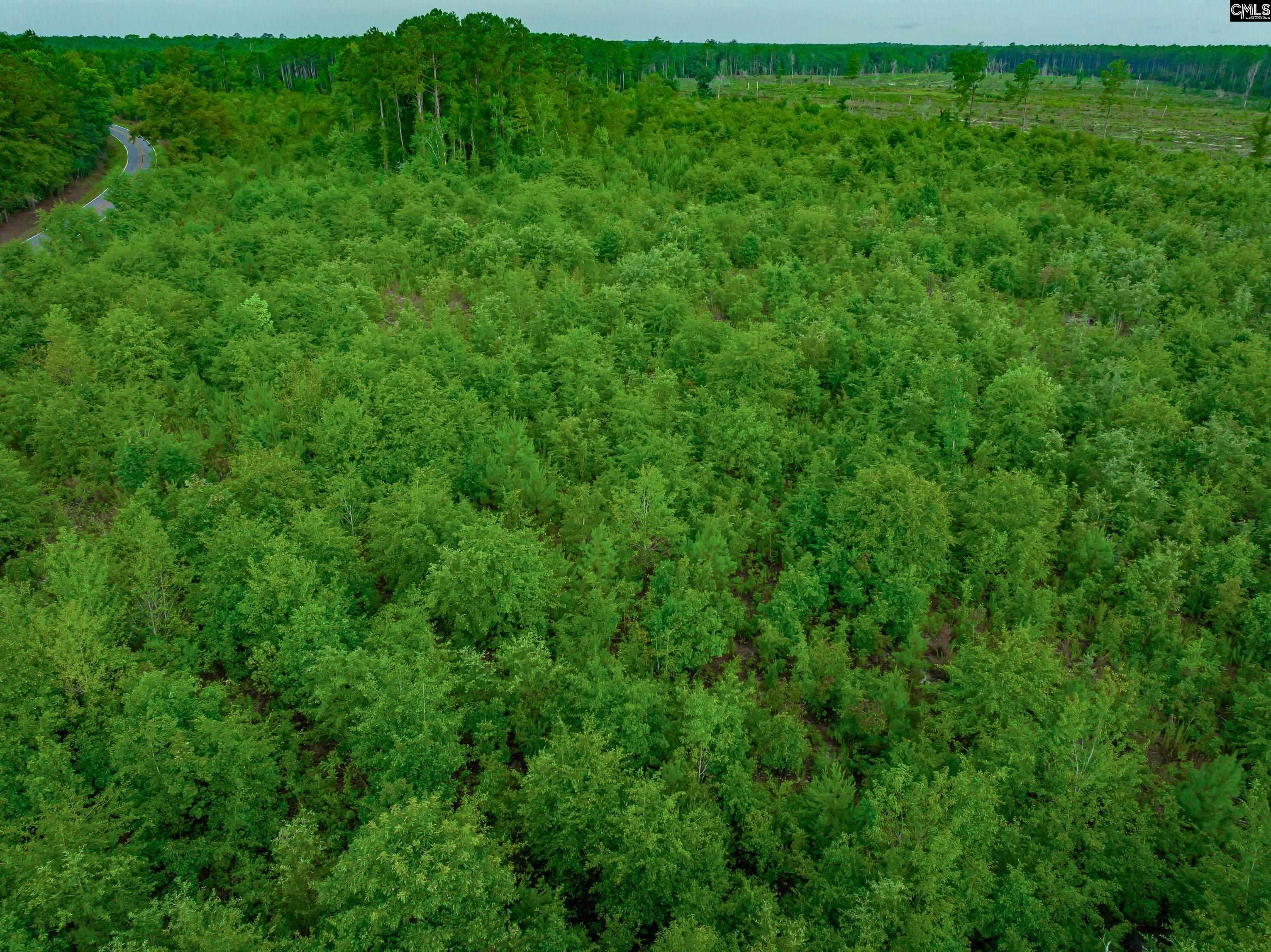 Grants Mill Road, Wallace, South Carolina image 11