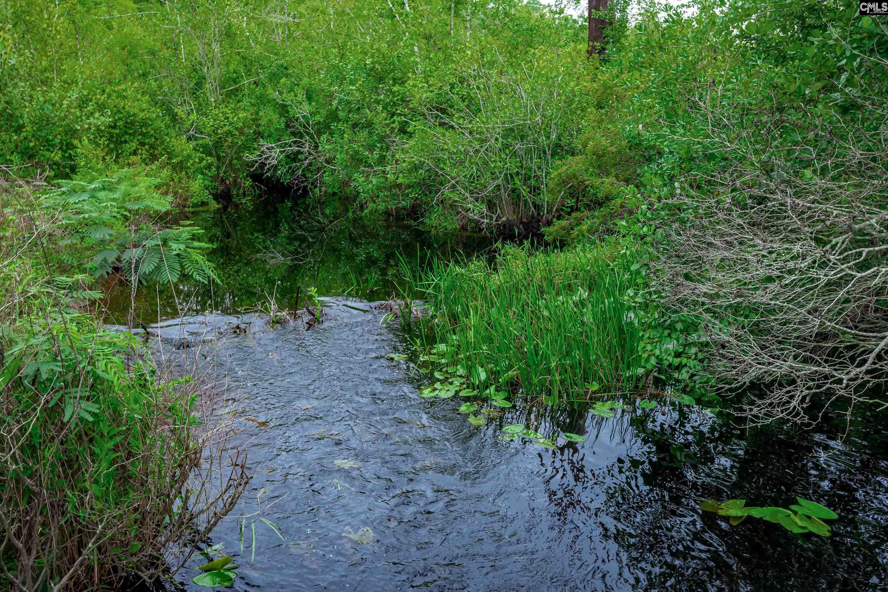 Grants Mill Road, Wallace, South Carolina image 13