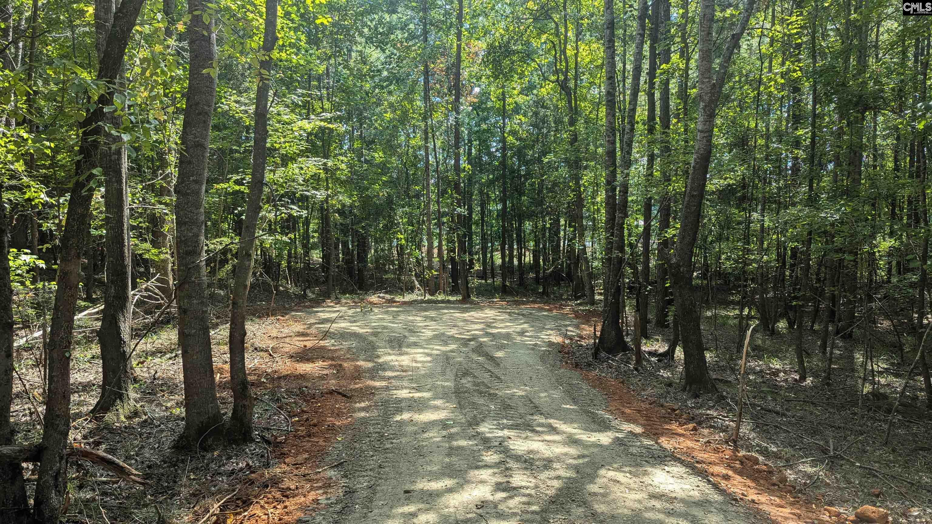 TBD Retreat Way Ridgeway, SC 29130-0000