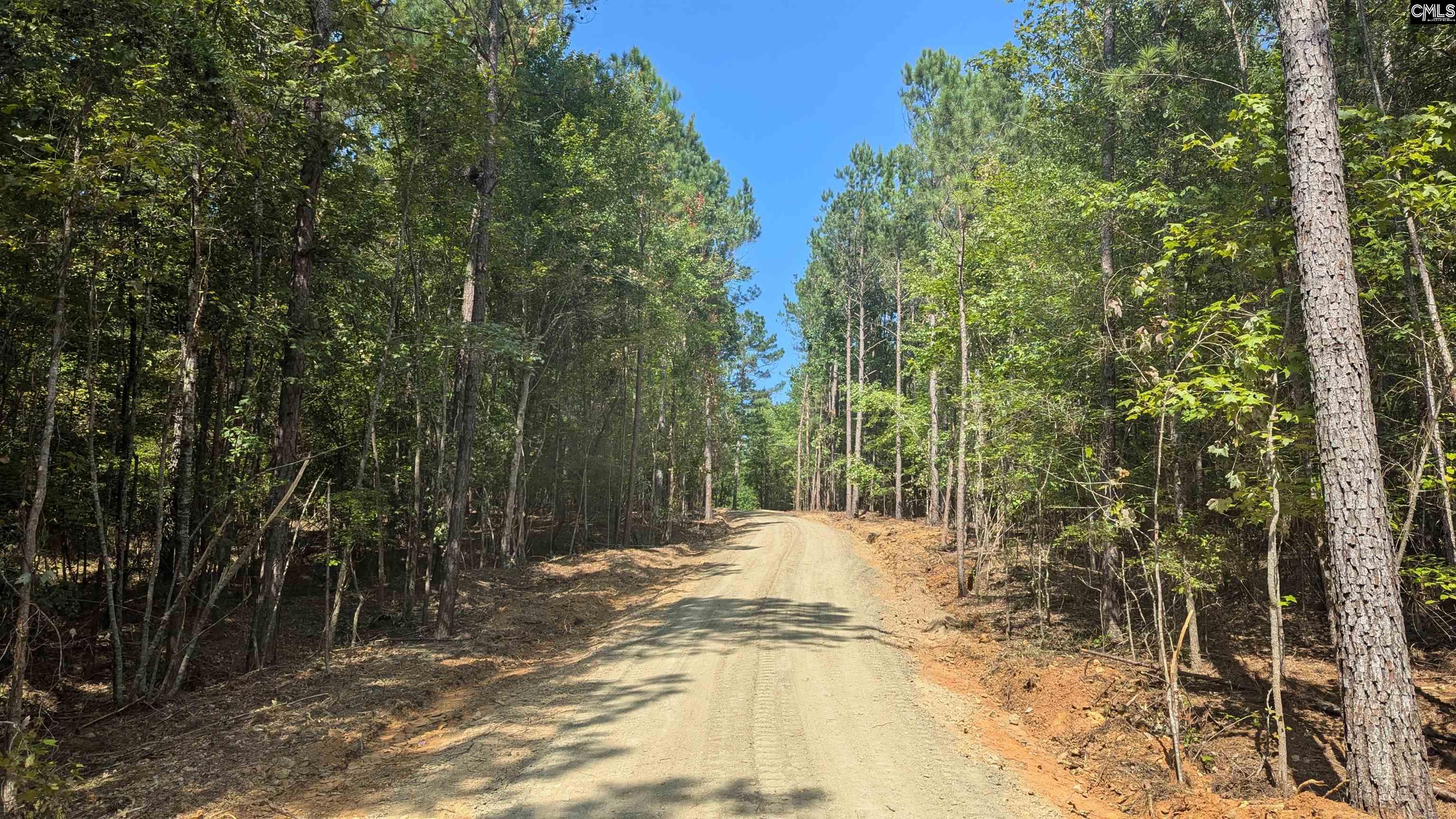 TBD Retreat Way Ridgeway, SC 29130-0000