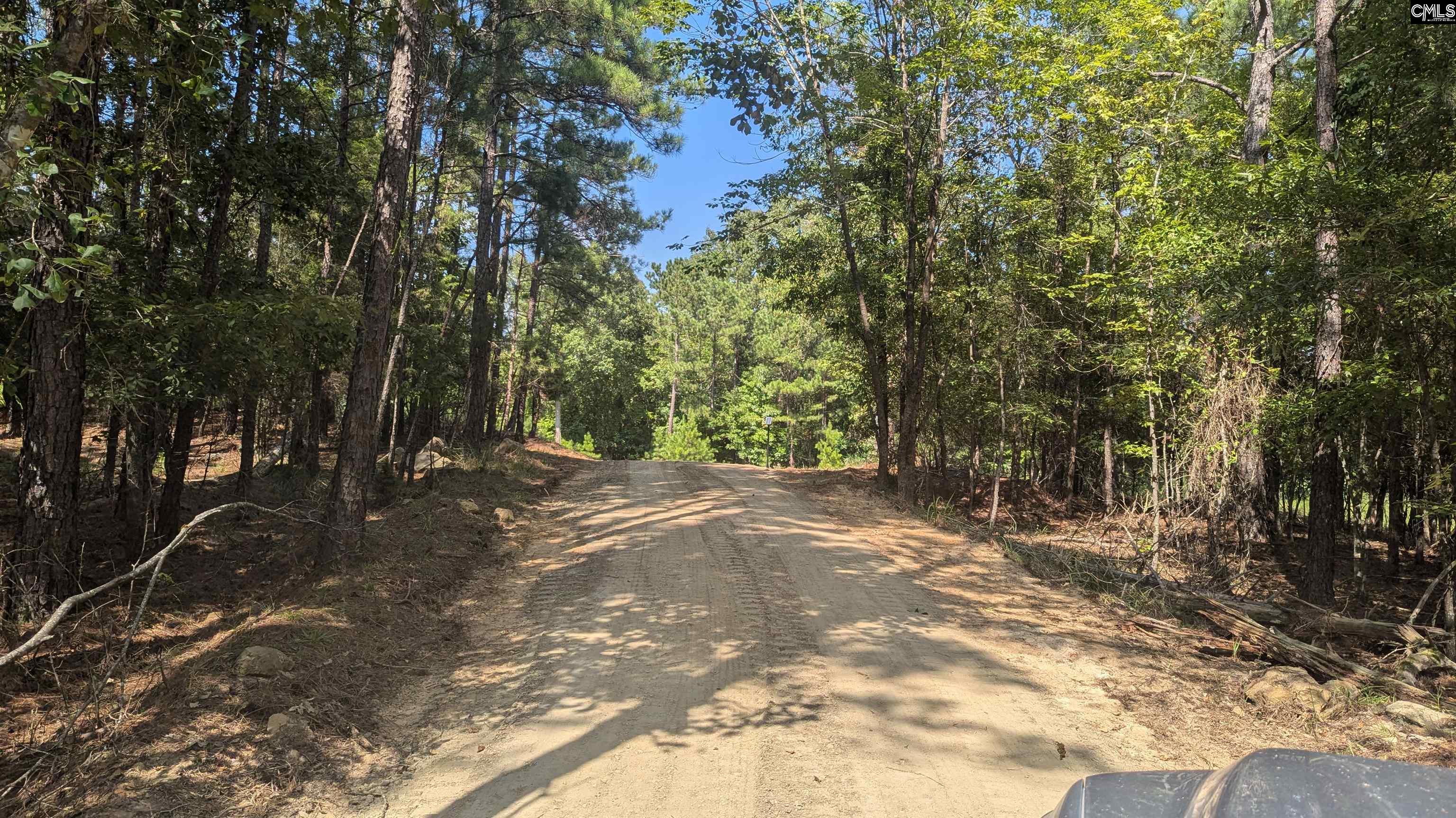 TBD Retreat Way Ridgeway, SC 29130-0000