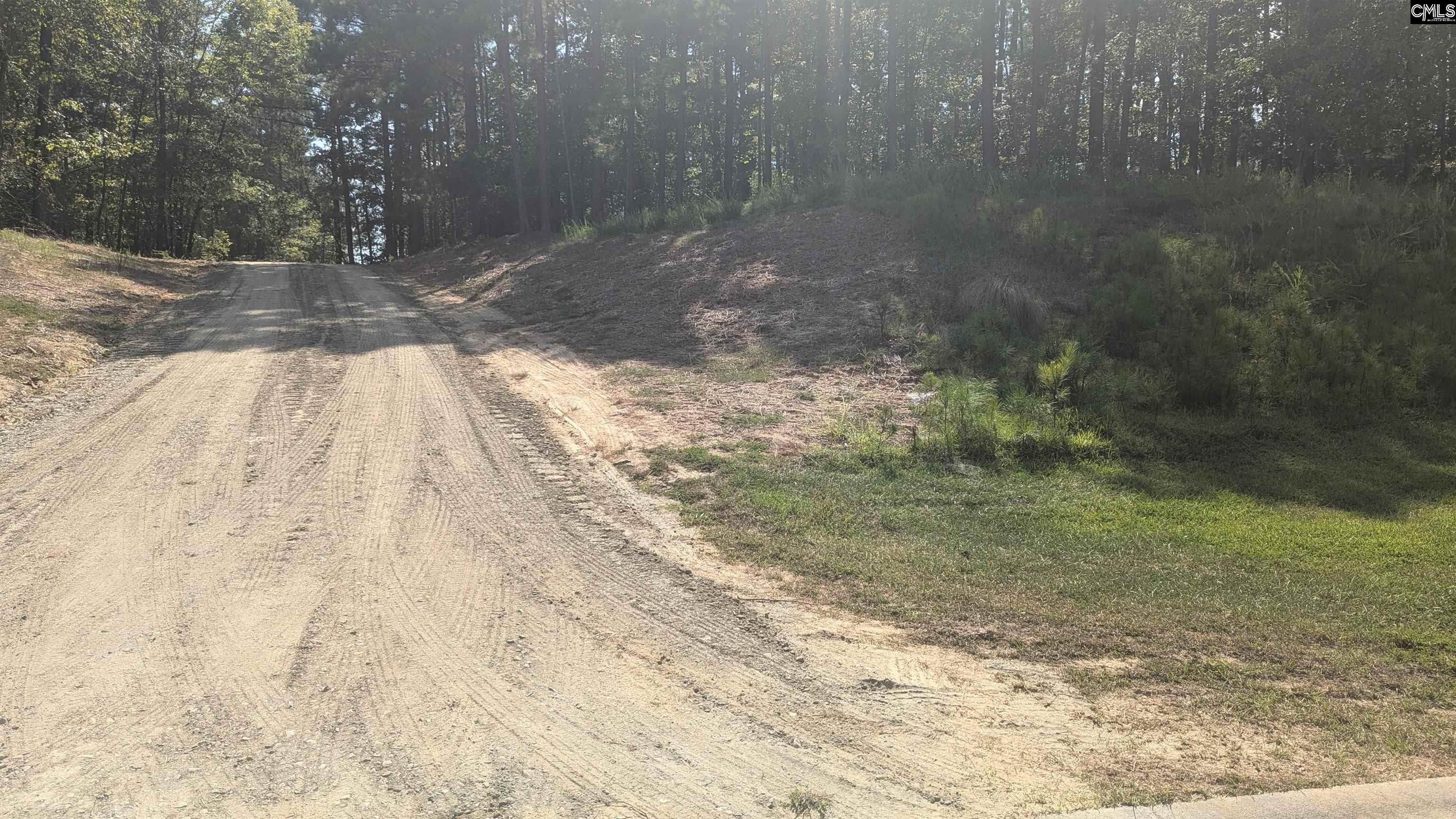 TBD Retreat Way Ridgeway, SC 29130-0000