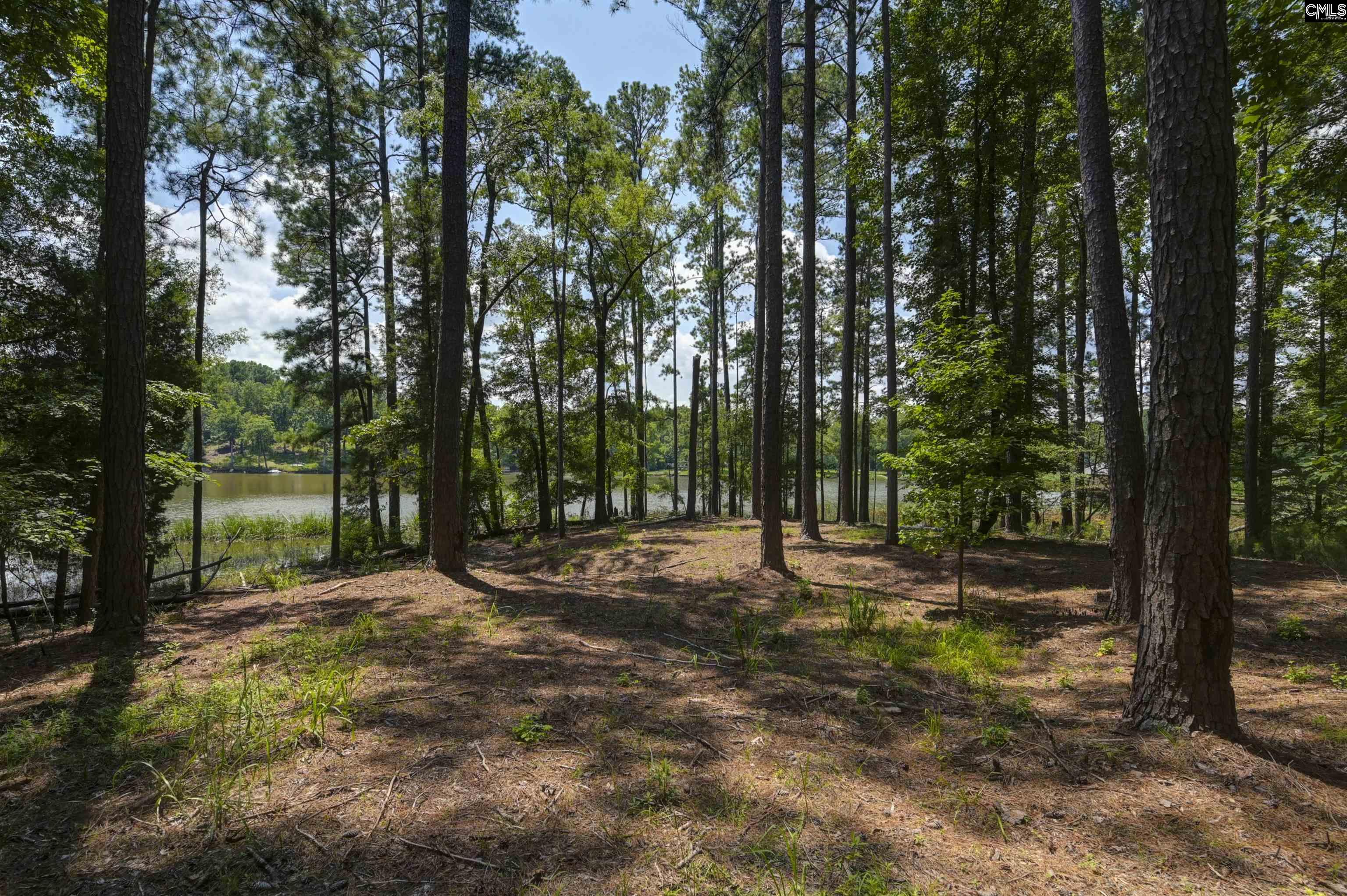 TBD Retreat Way Ridgeway, SC 29130-0000