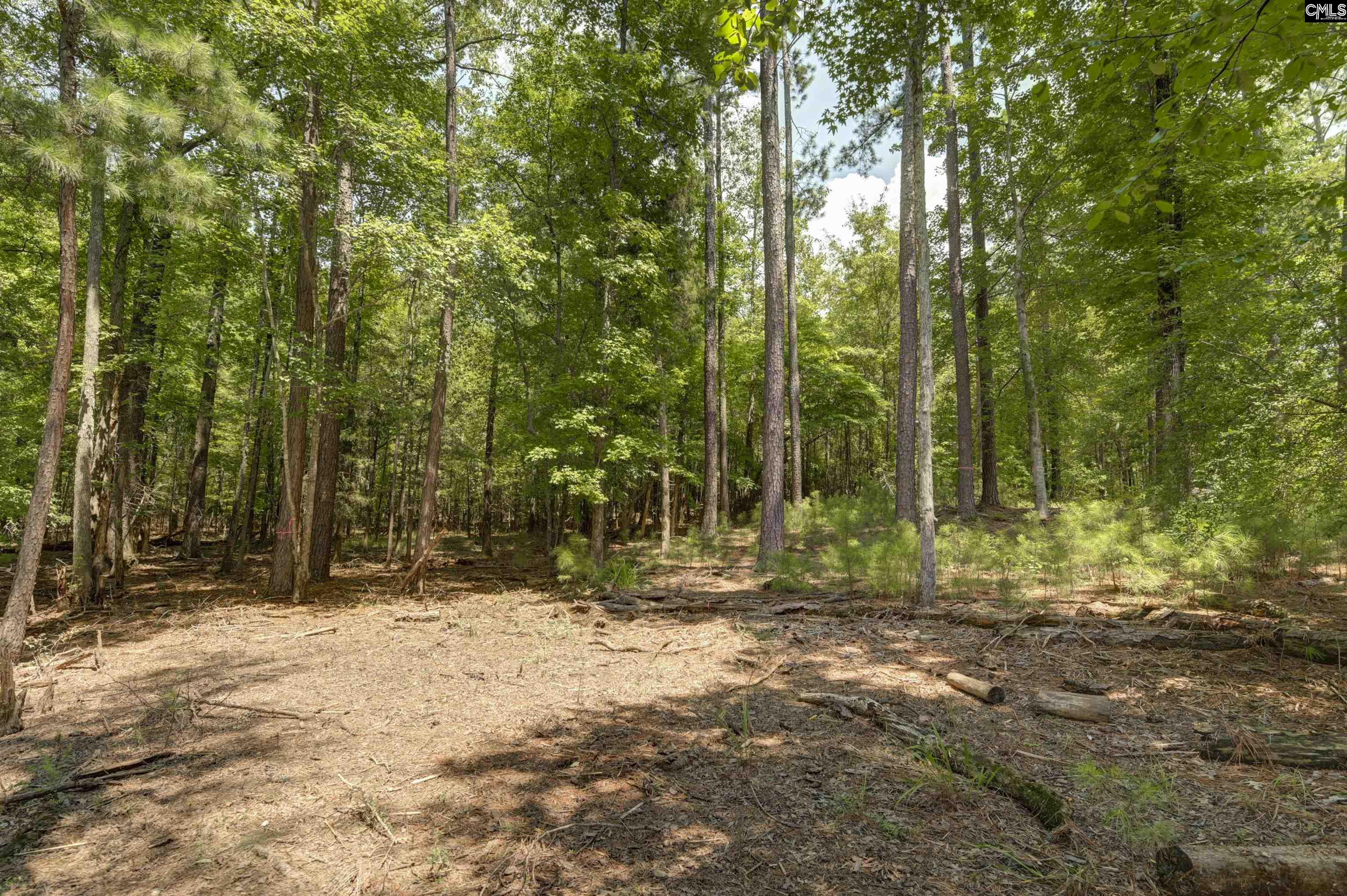 TBD Retreat Way Ridgeway, SC 29130-0000