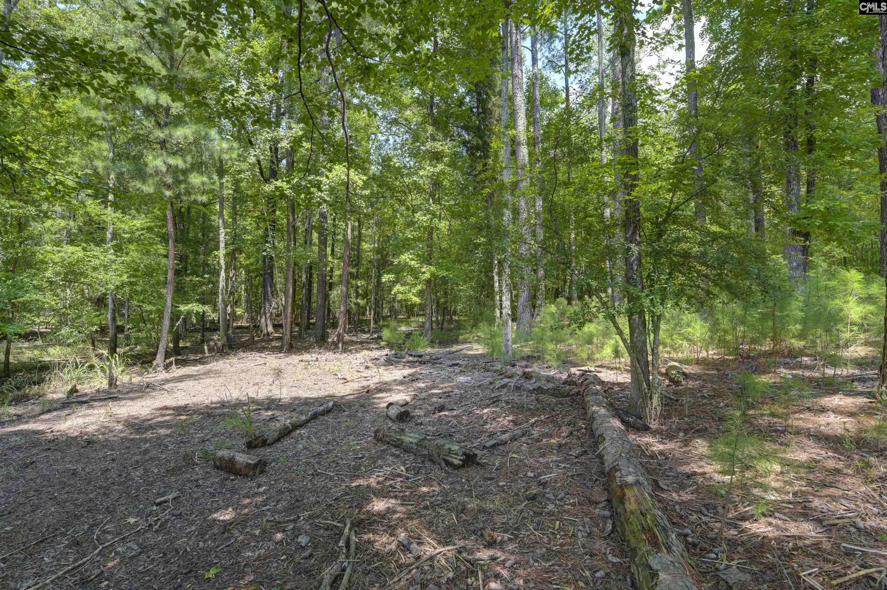 TBD Retreat Way Ridgeway, SC 29130-0000