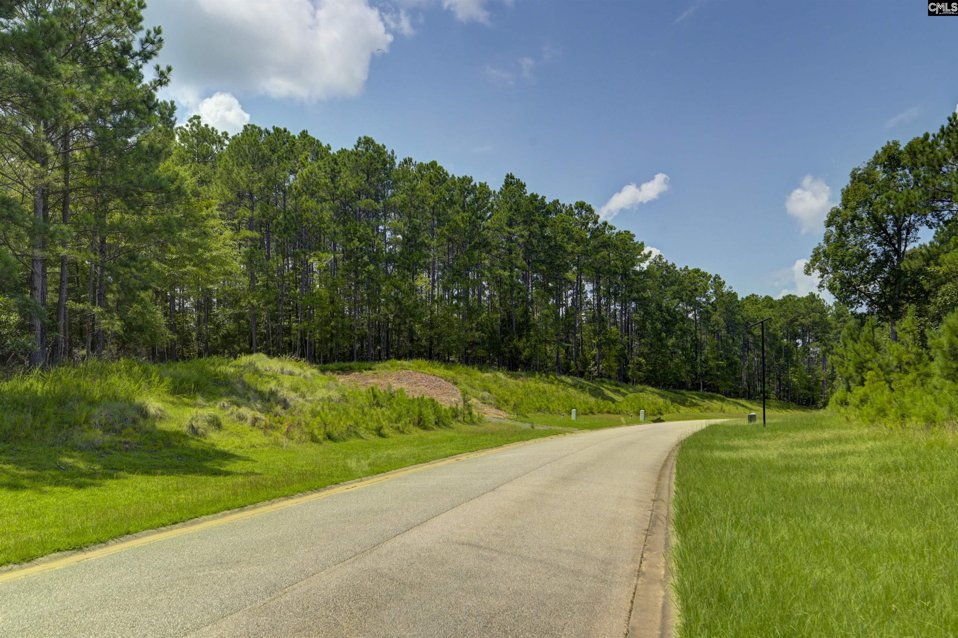 TBD Retreat Way Ridgeway, SC 29130-0000