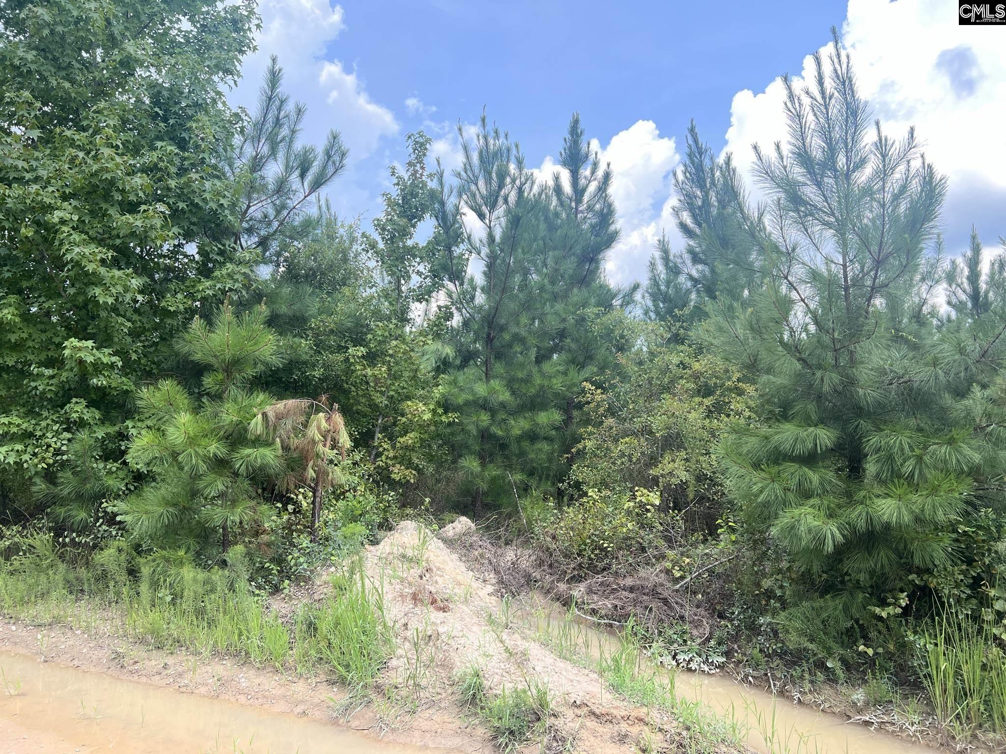 3129 Arcadia Unit #9 Bethune, SC 29009
