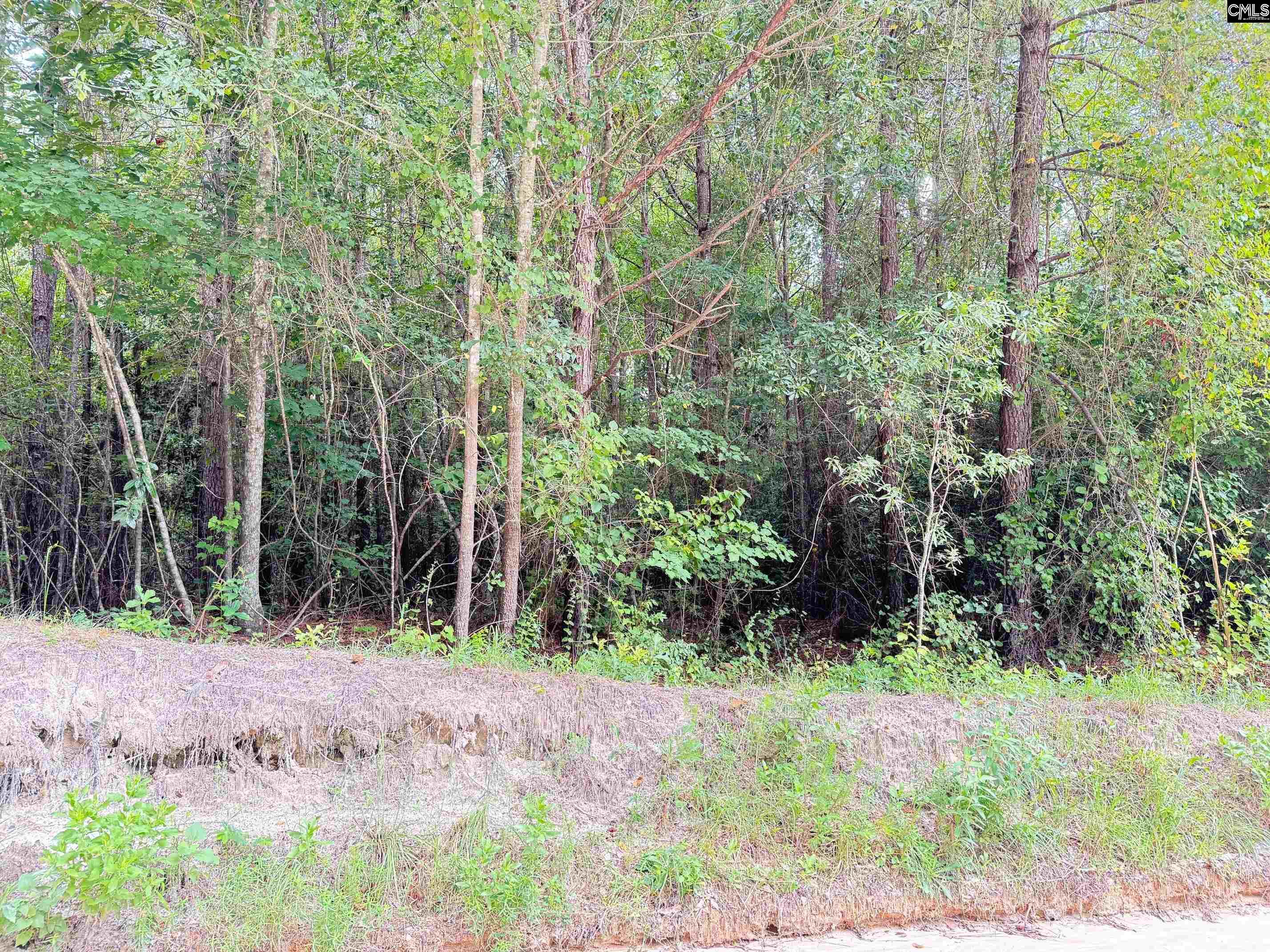 821 Quinton Ricard Road Leesville, SC 29070