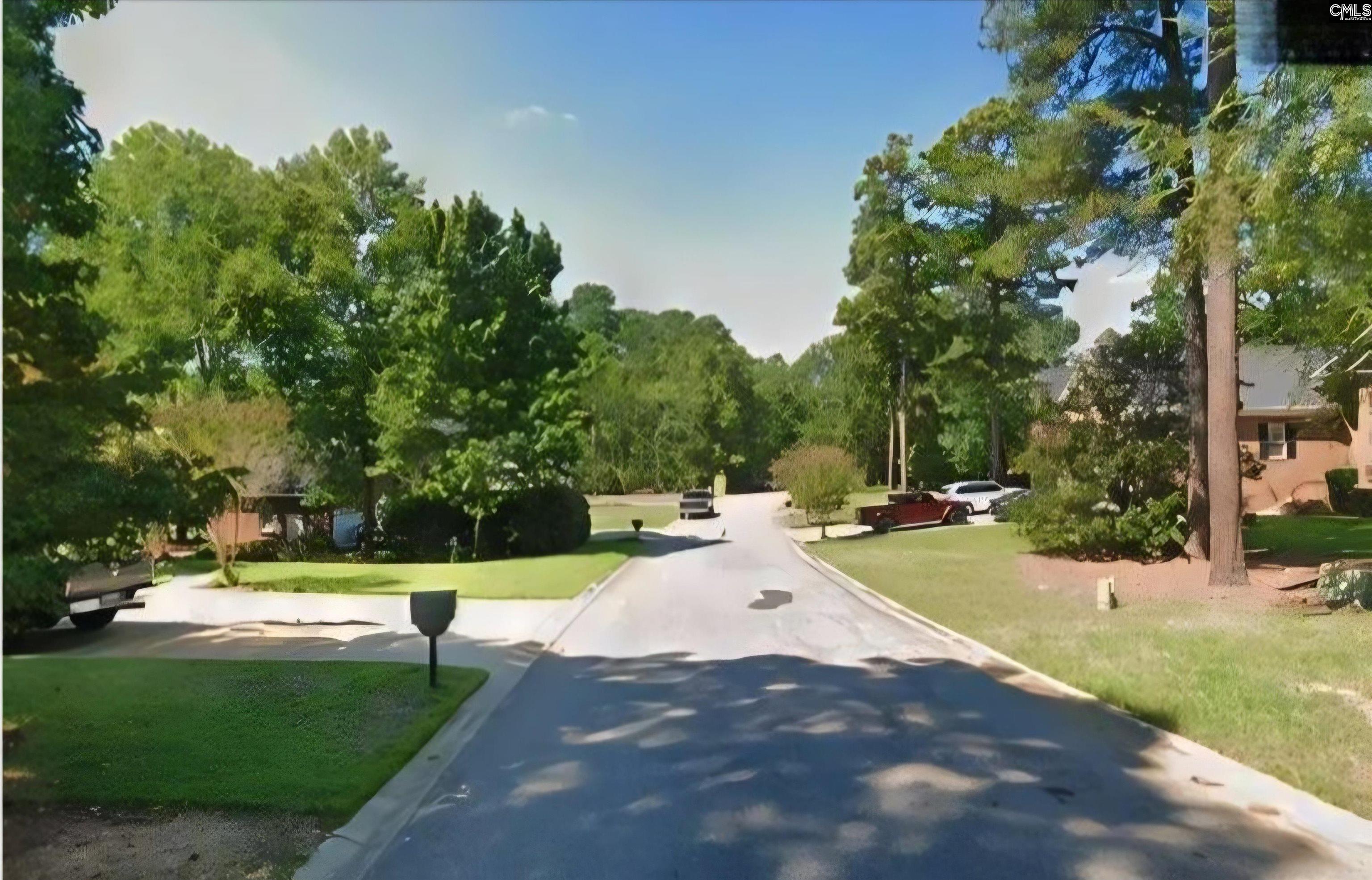 557 Wateroak Trail, Chapin, South Carolina image 2
