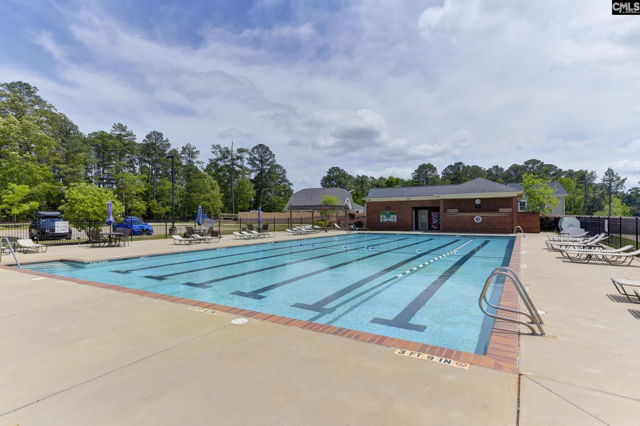 557 Wateroak Trail, Chapin, South Carolina image 7