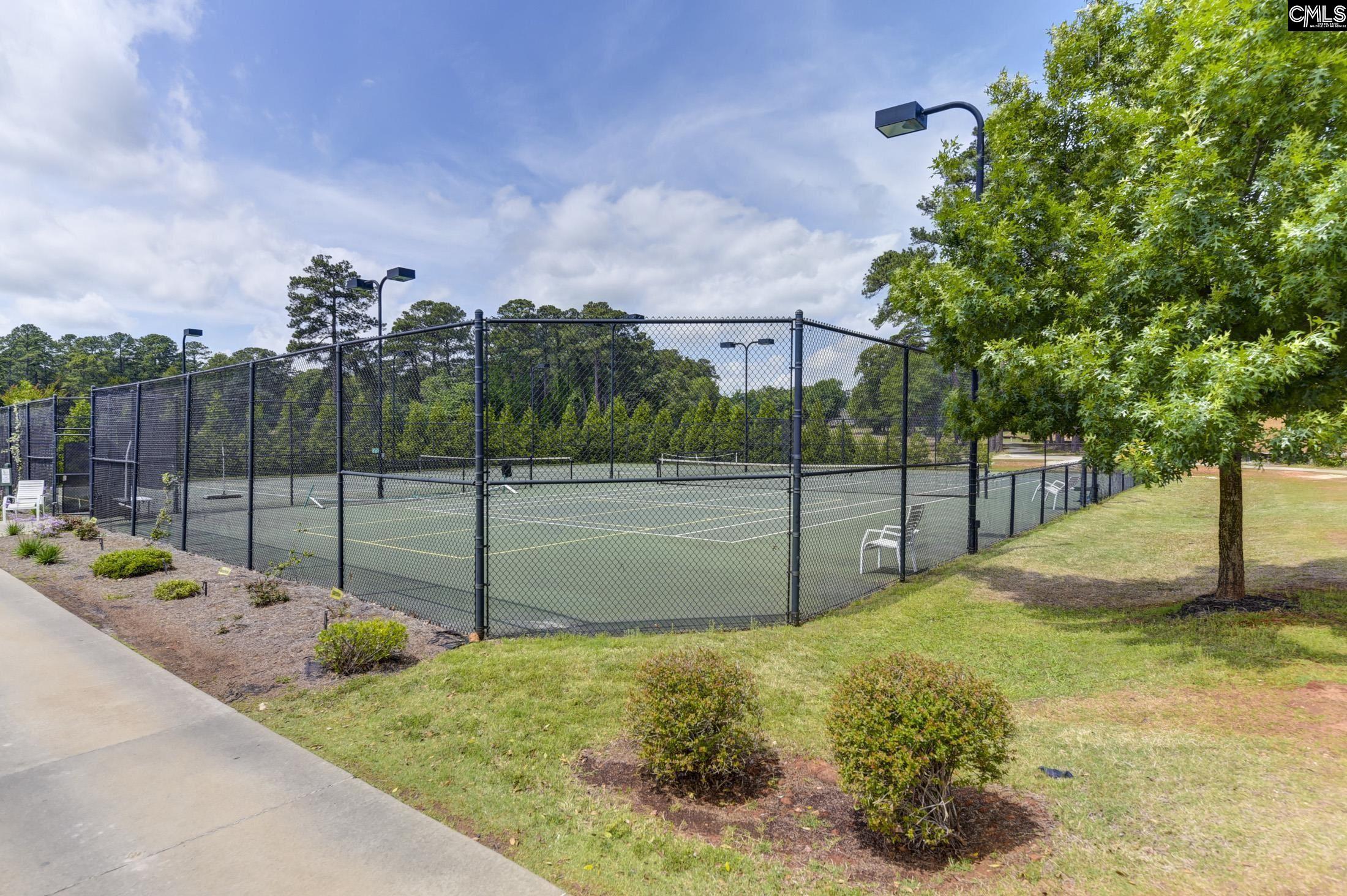 557 Wateroak Trail, Chapin, South Carolina image 8
