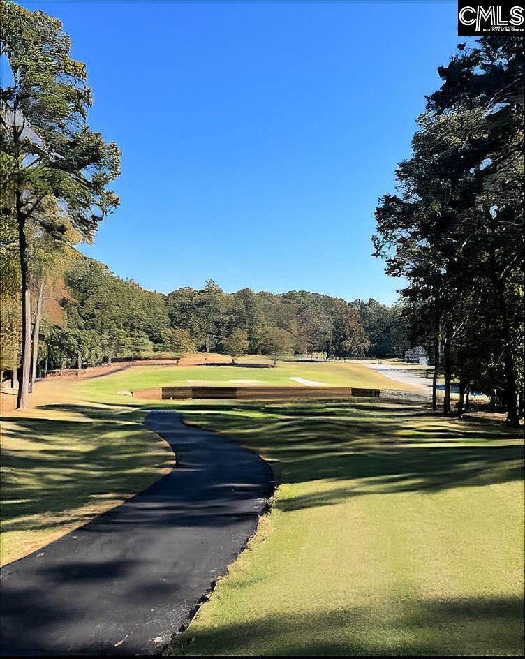 520 Wateroak Trail, Chapin, South Carolina image 3