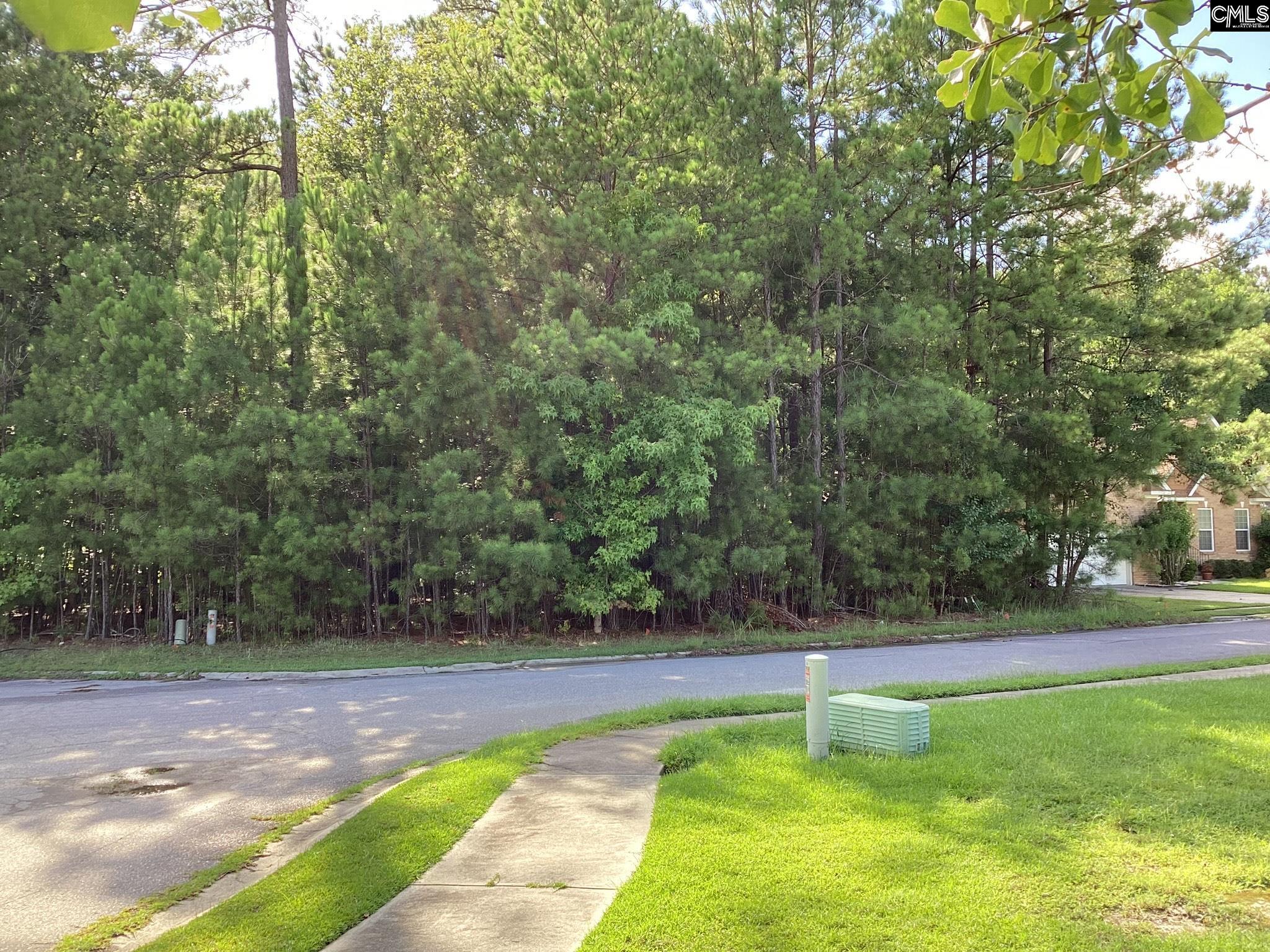 114 Copperhill Lane Columbia, SC 29229