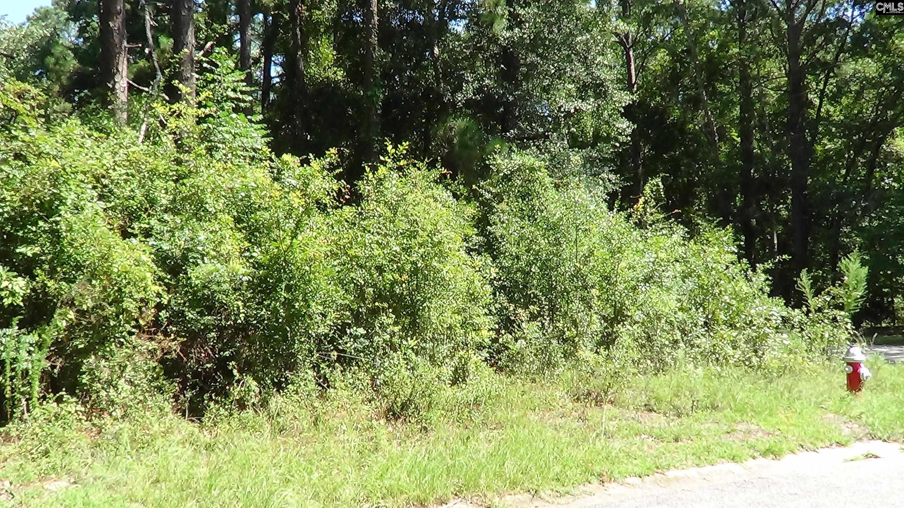 425 Cool Springs Drive Camden, SC 29020