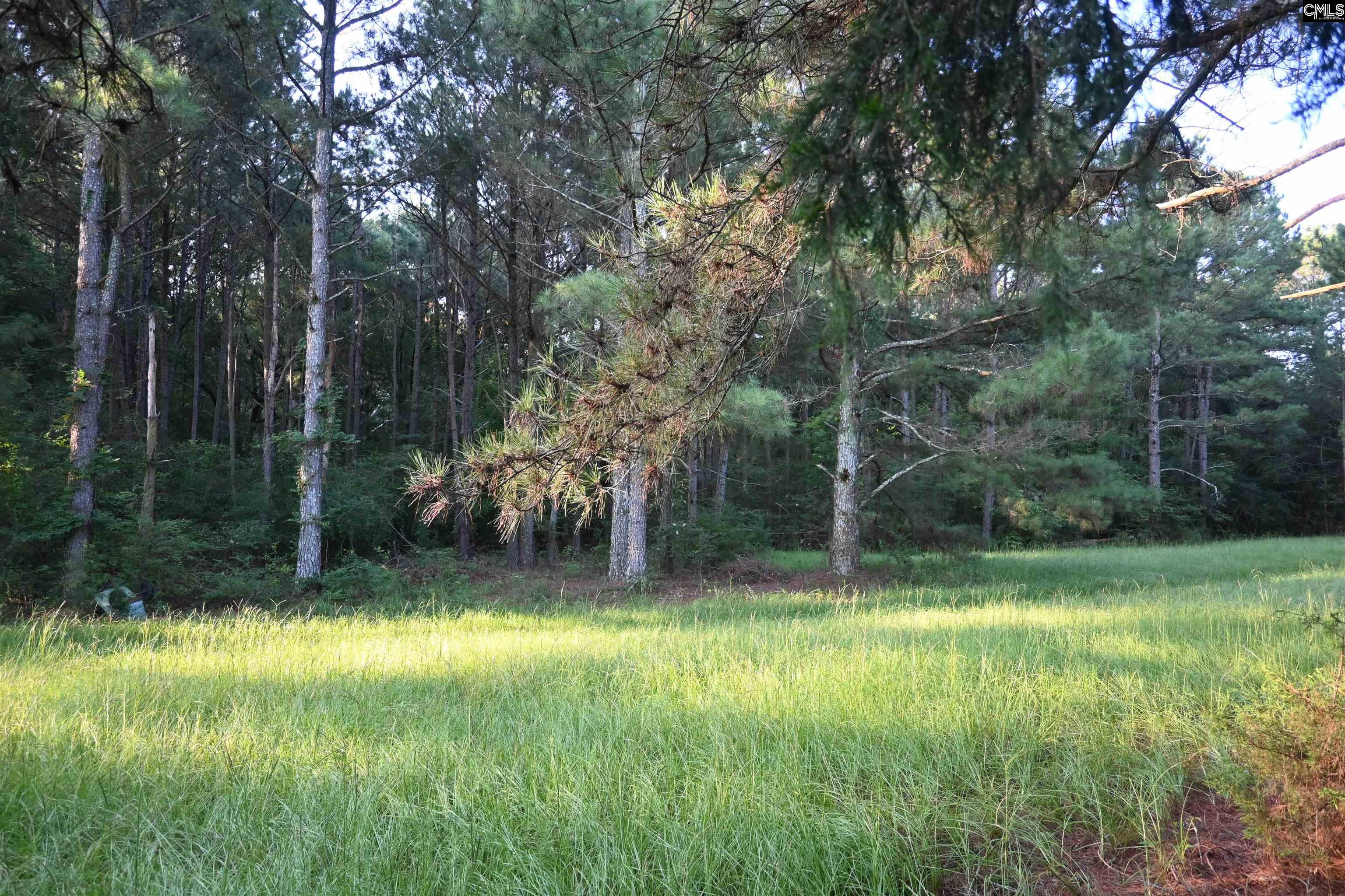 Tom Moore Road Leesville, SC 29070