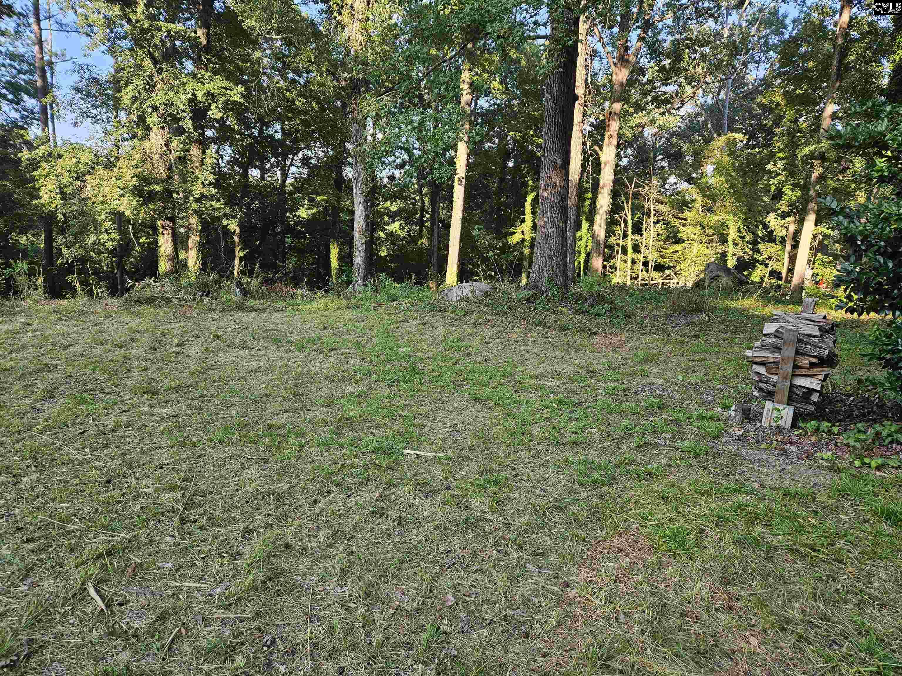 1540 Sewanee Drive, West Columbia, South Carolina image 1