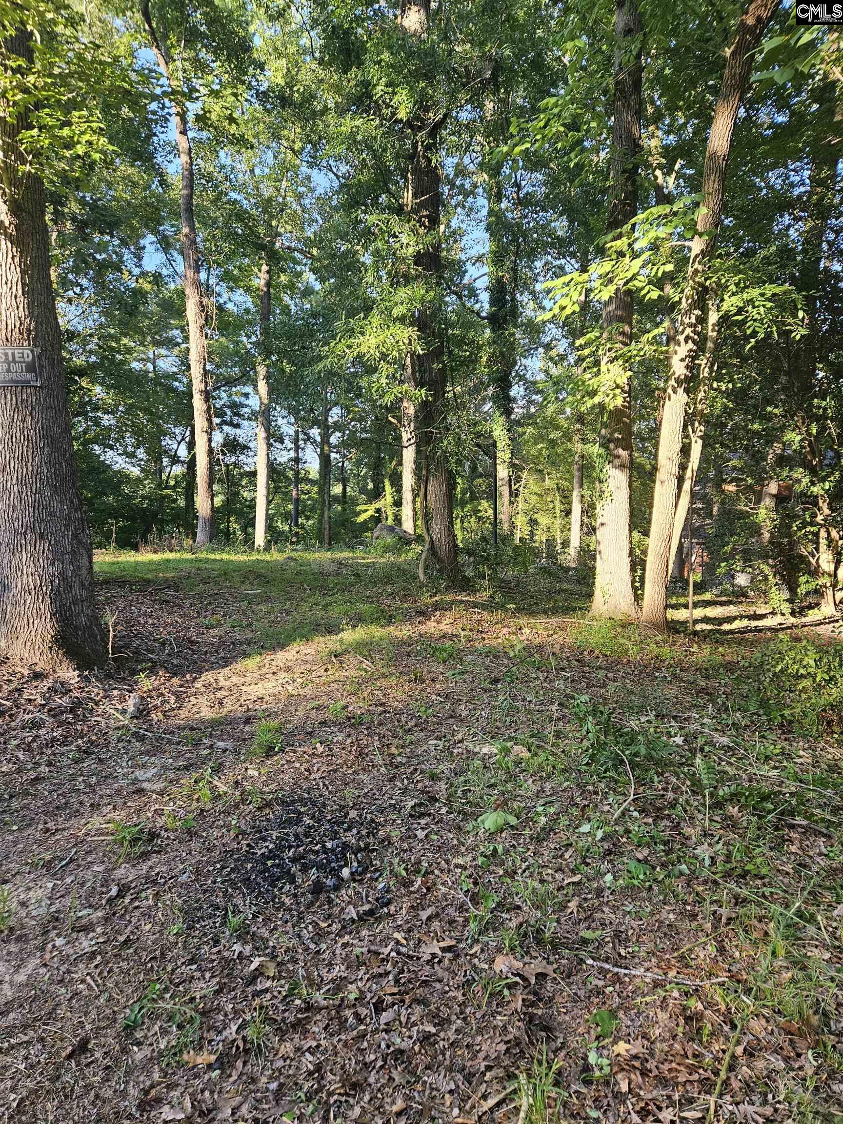 1540 Sewanee Drive, West Columbia, South Carolina image 3