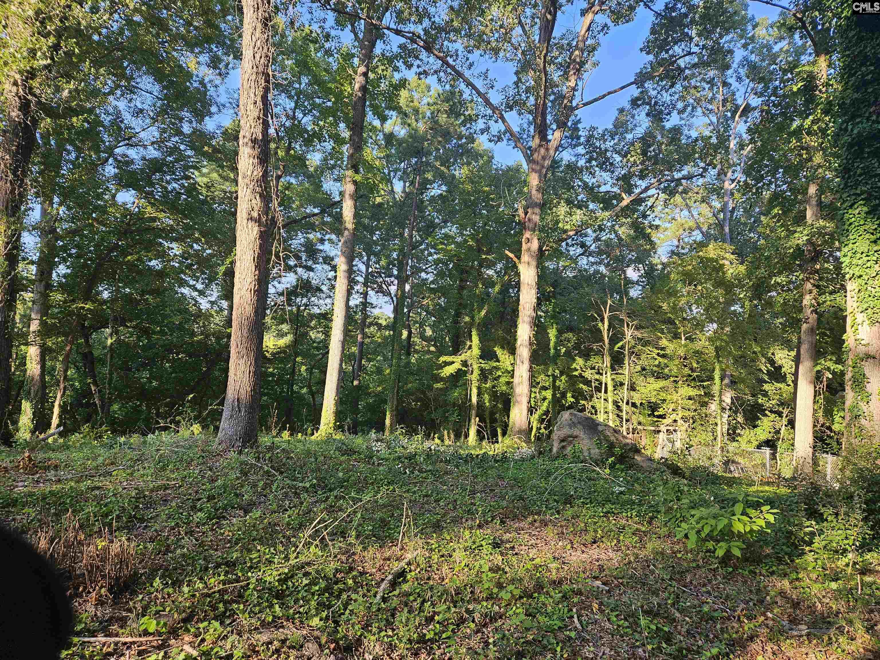 1540 Sewanee Drive, West Columbia, South Carolina image 5