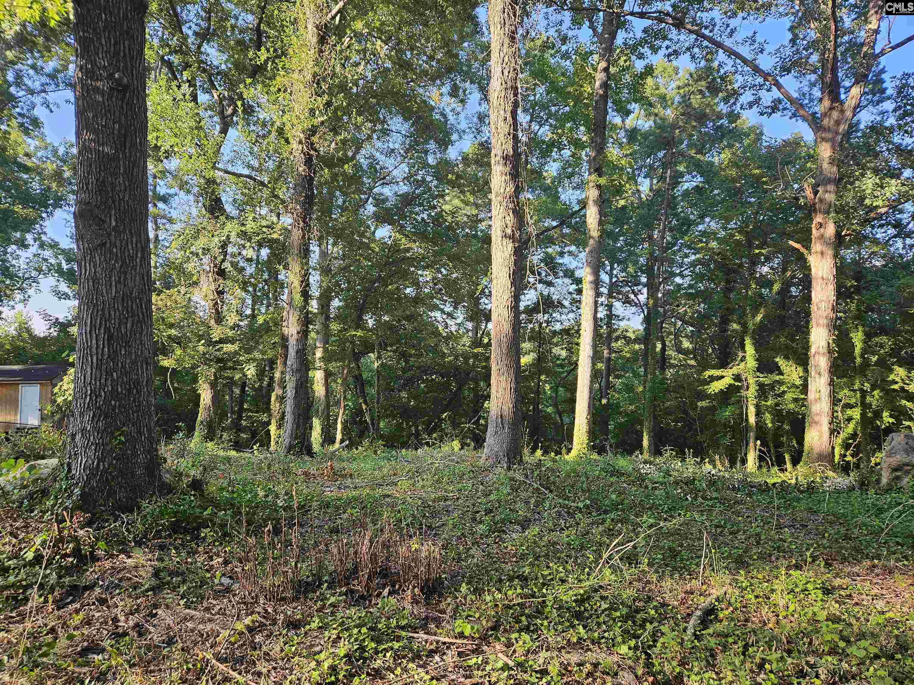 1540 Sewanee Drive West Columbia, SC 29169