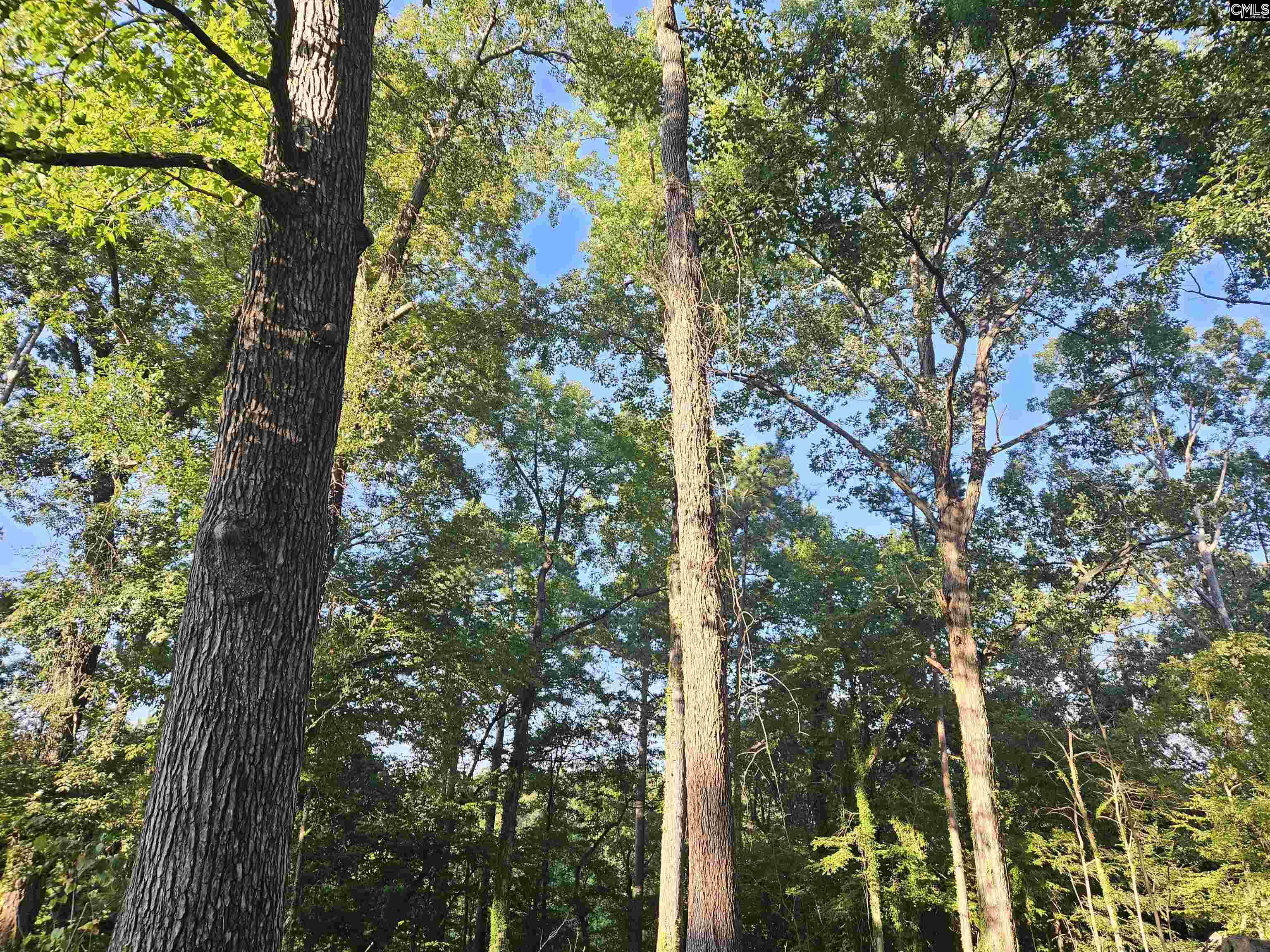 1540 Sewanee Drive West Columbia, SC 29169