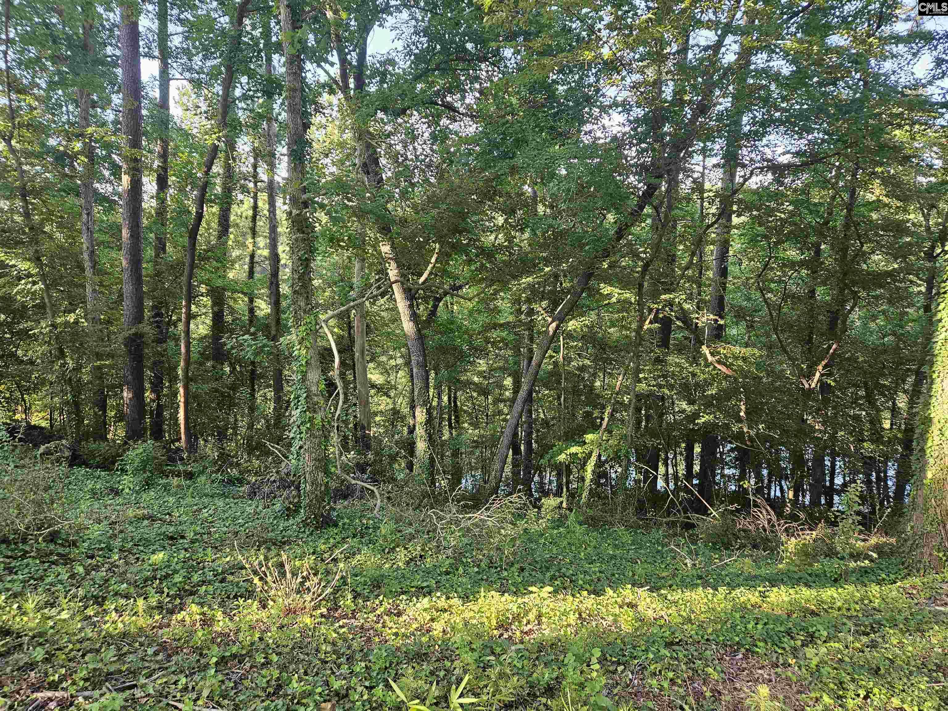 1540 Sewanee Drive West Columbia, SC 29169