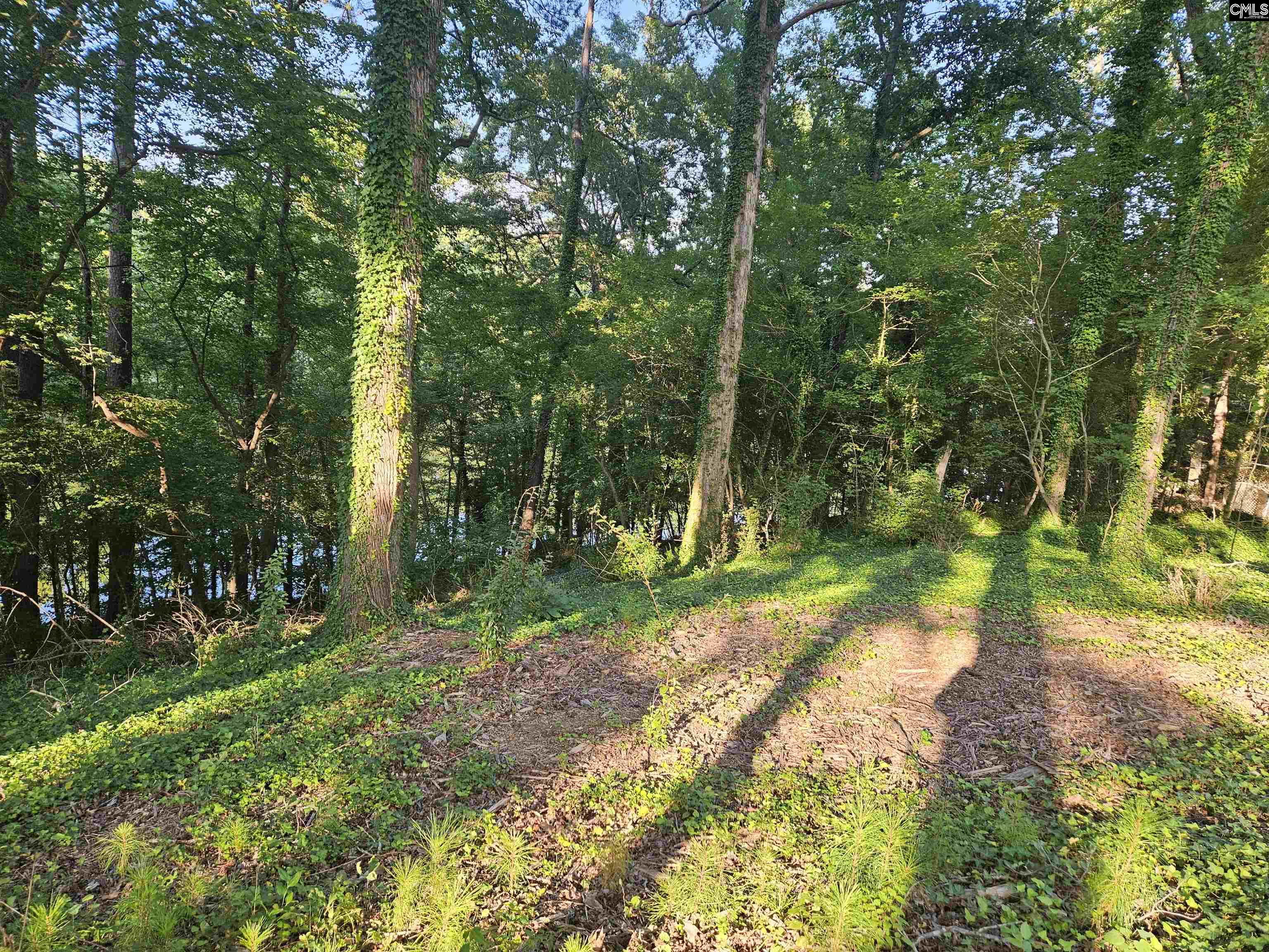 1540 Sewanee Drive West Columbia, SC 29169