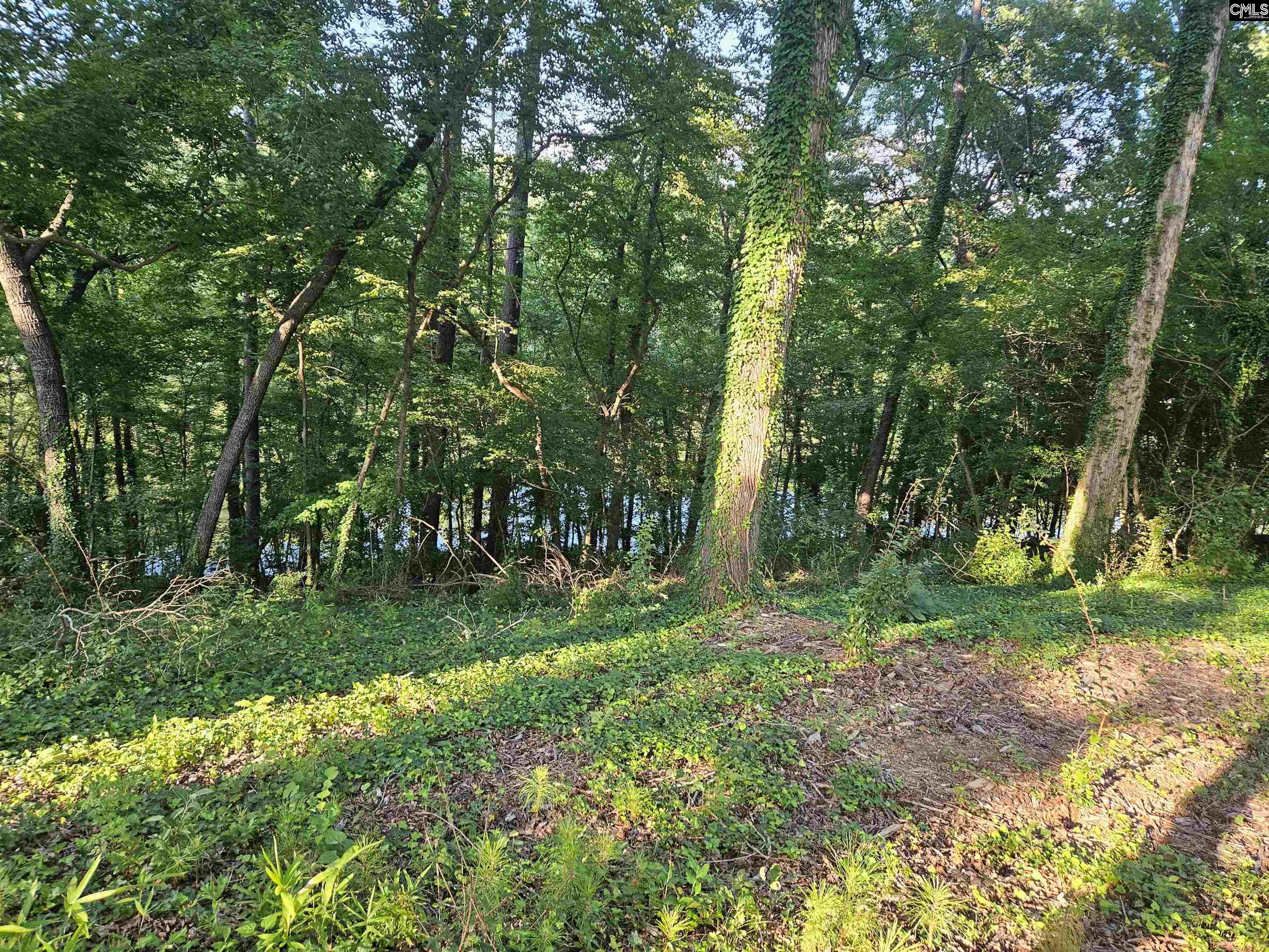 1540 Sewanee Drive West Columbia, SC 29169