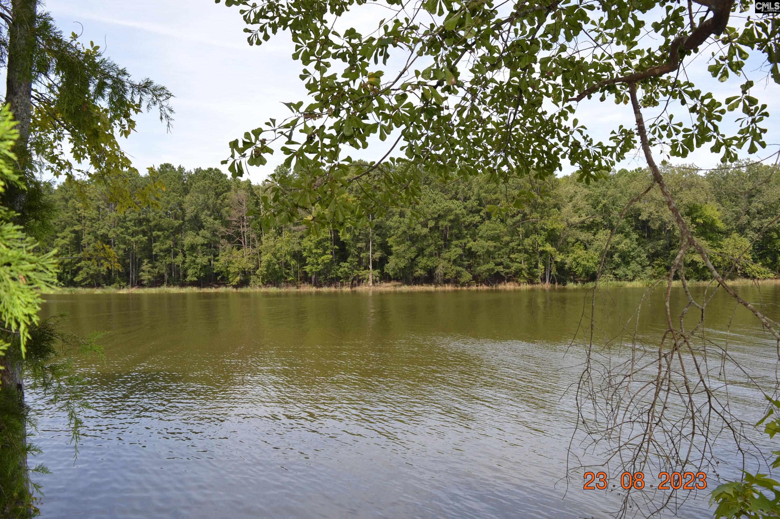 995 Retreat Way, Ridgeway, South Carolina image 2