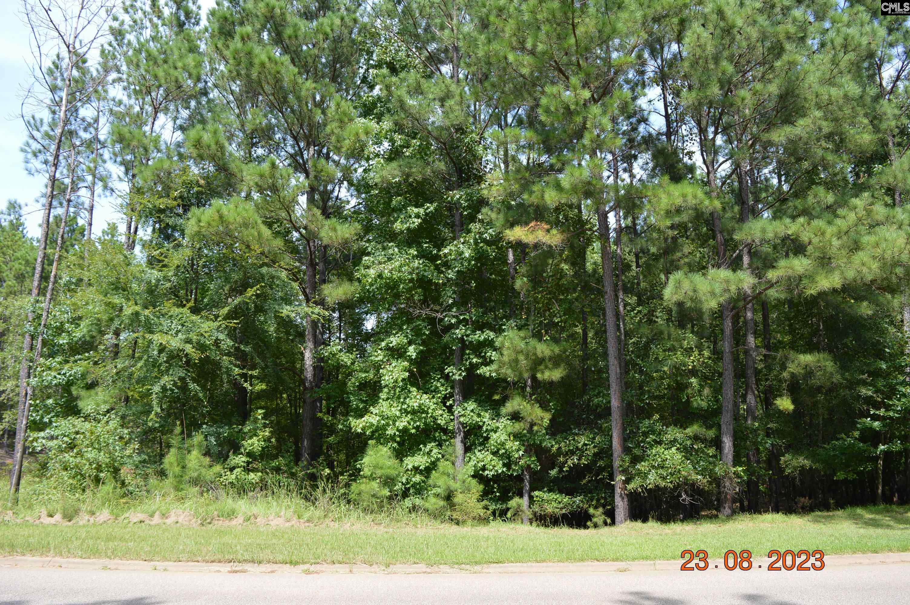 995 Retreat Way, Ridgeway, South Carolina image 4