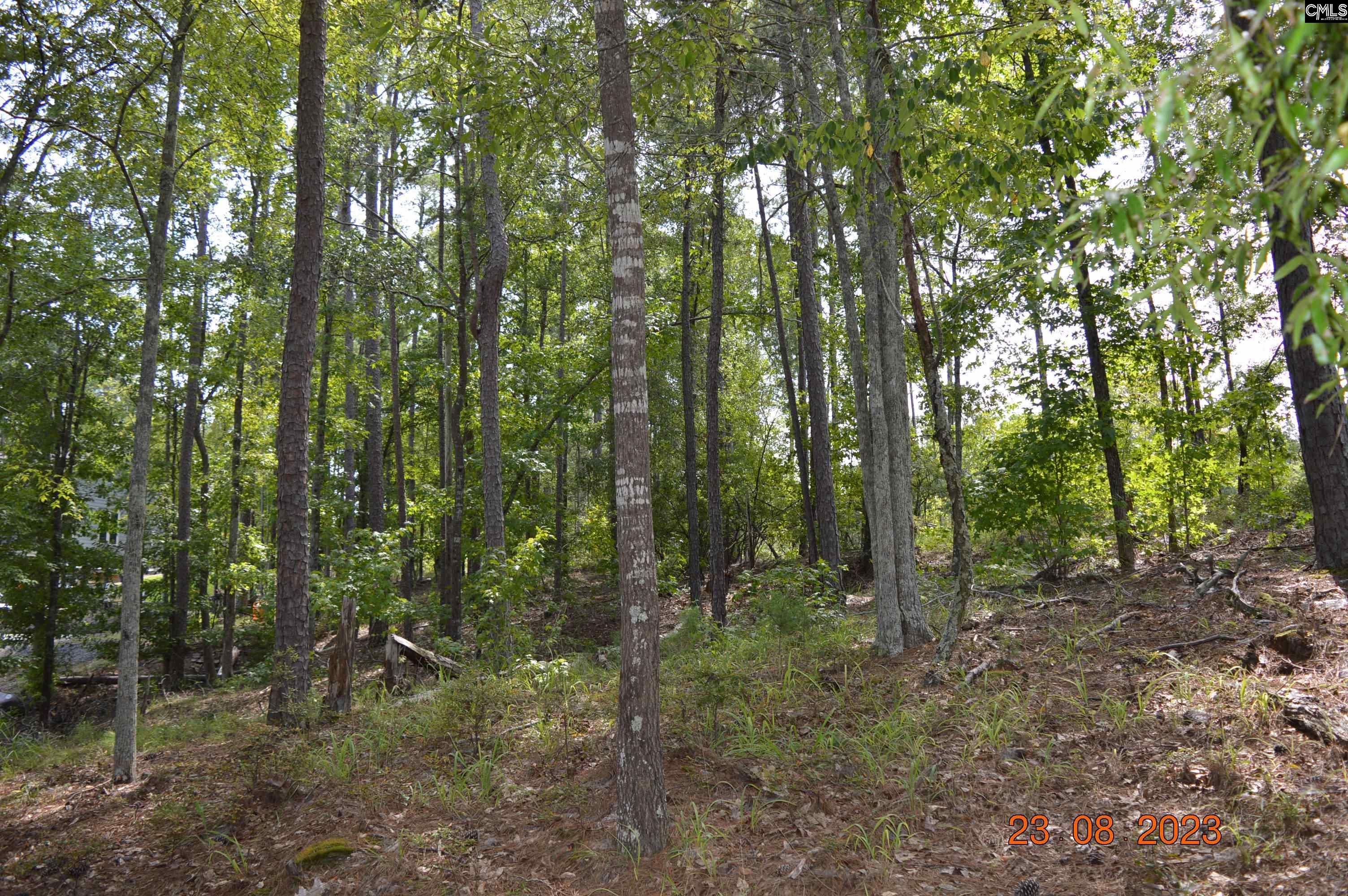 995 Retreat Way, Ridgeway, South Carolina image 6